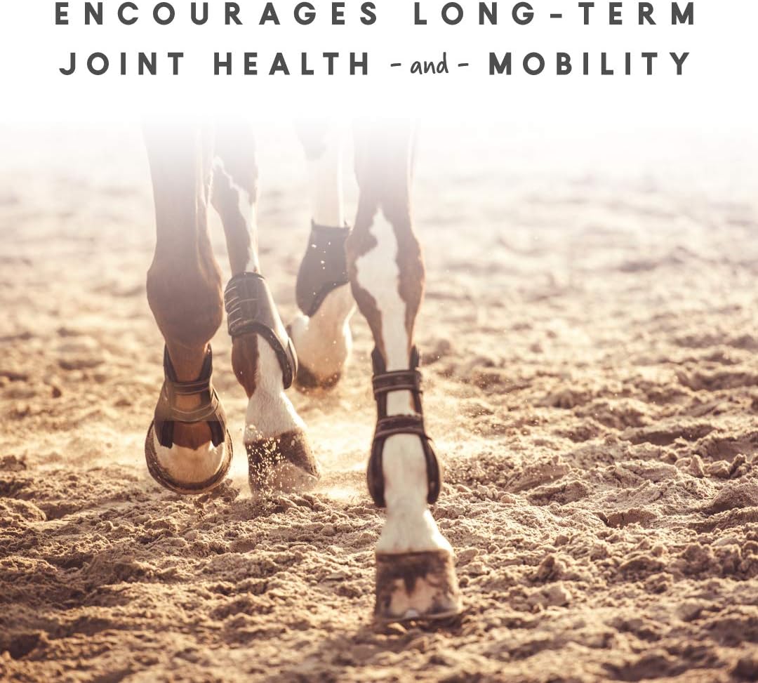 Manna Pro Cetyl-M Horse Joint Supplement with Omega 5 Fatty Acids - 11.2 lb Size