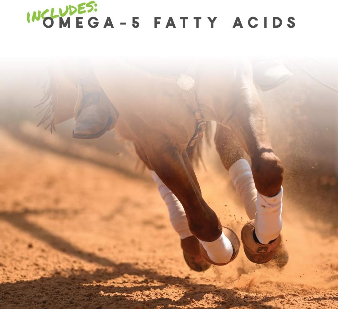 Manna Pro Cetyl-M Horse Joint Supplement with Omega 5 Fatty Acids - 11.2 lb Size