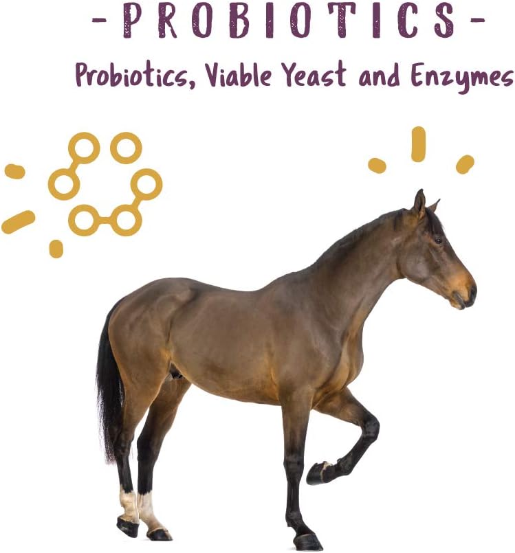 Manna Pro Opti-Zyme Microbial Digestive Supplement for Horses - 3-Pound Container by Manna Pro Corp