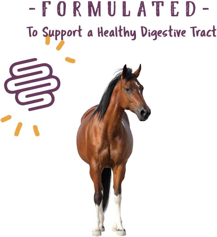 Manna Pro Opti-Zyme Microbial Digestive Supplement for Horses - 3-Pound Container by Manna Pro Corp