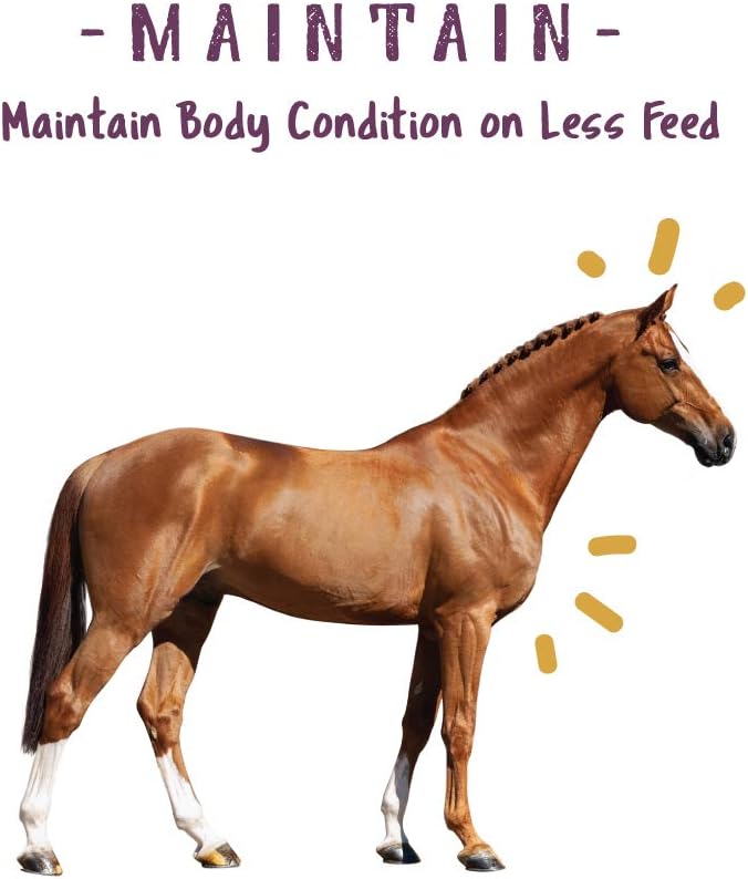 Manna Pro Opti-Zyme Microbial Digestive Supplement for Horses - 3-Pound Container by Manna Pro Corp