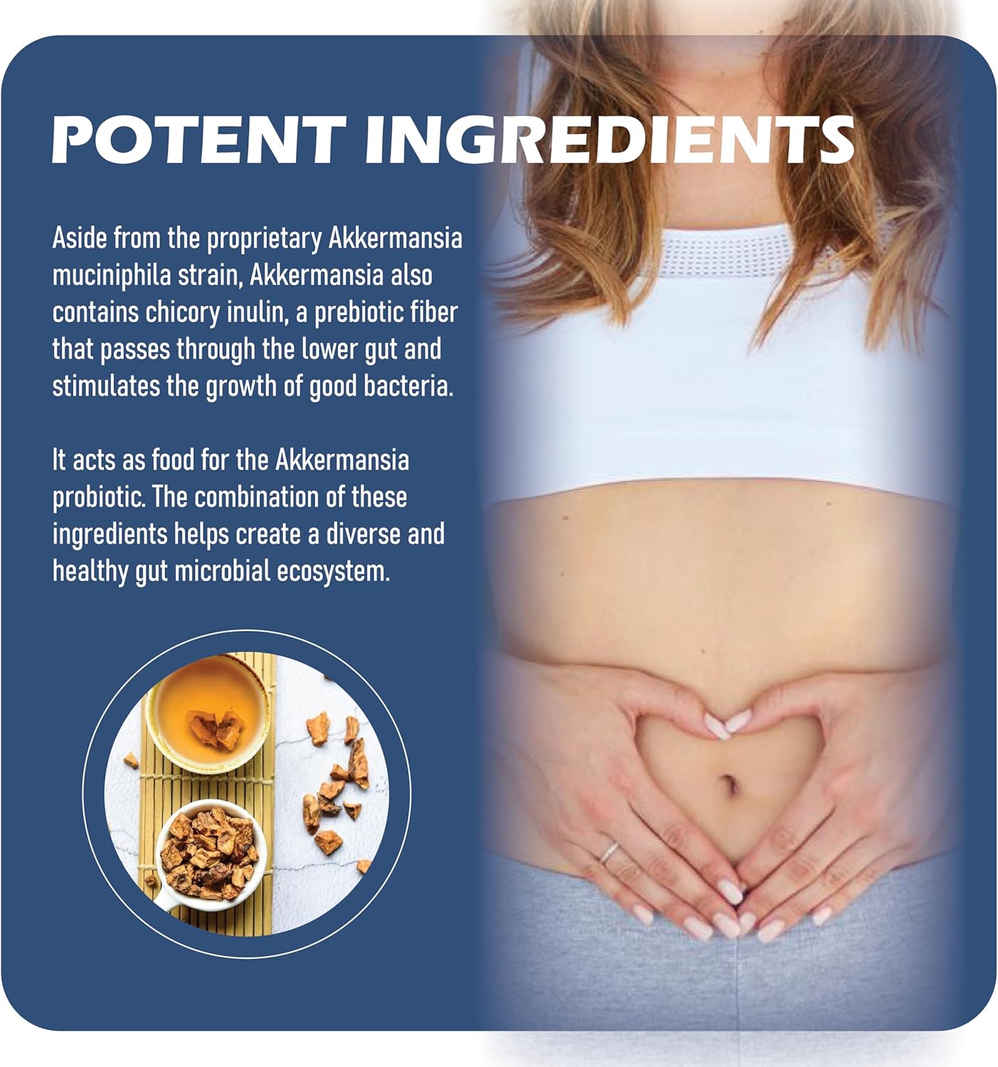 MAPUG Akkermansia Probiotic with Prebiotic Fiber - Boosts GLP-1, Delayed Release, Third-Party Tested, 100M AFU Live Strain for Gut Health - Men & Women (2 Pack)