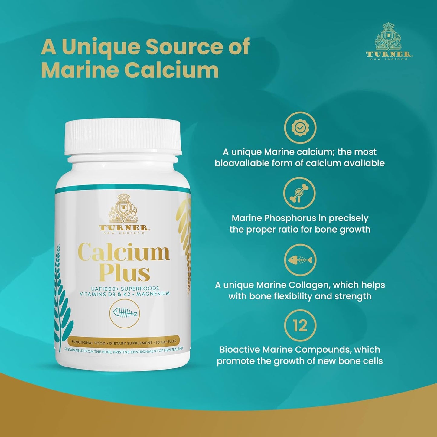 Marine Calcium Supplement with Magnesium, Vitamins K2 & D3 for Bone Health - 90 Capsules