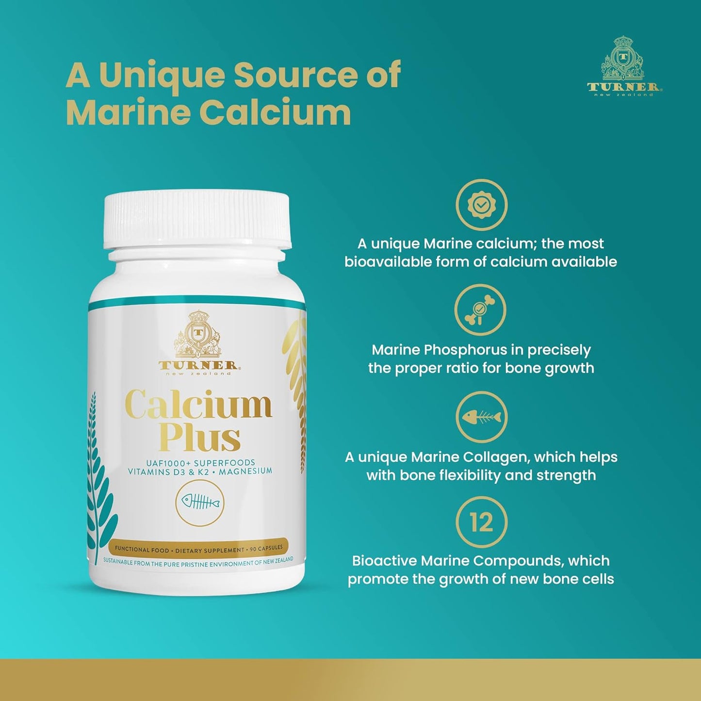 Marine Calcium Supplement with UAF1000+ Antioxidant for Bone & Joint Health - 2 Bottles, 180 caps