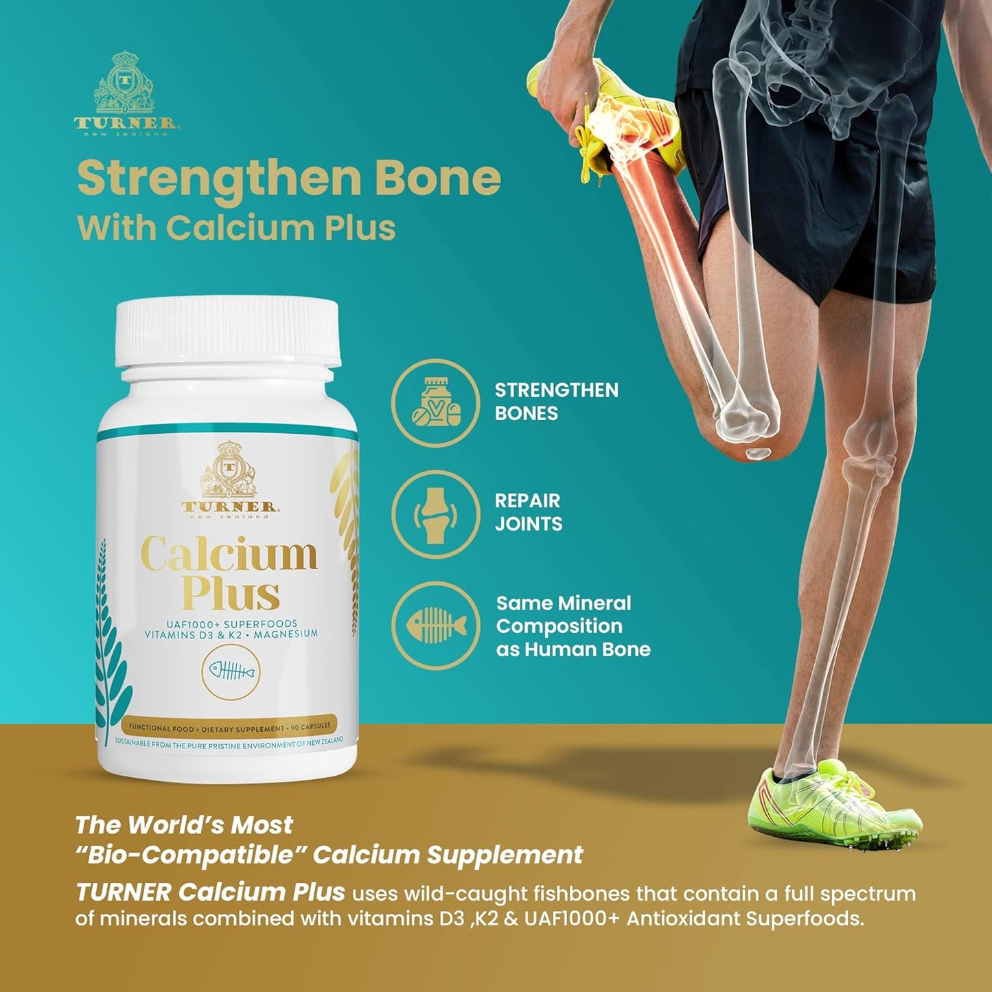 Marine Calcium Supplement with UAF1000+ Antioxidant for Bone & Joint Health - 2 Bottles, 180 caps