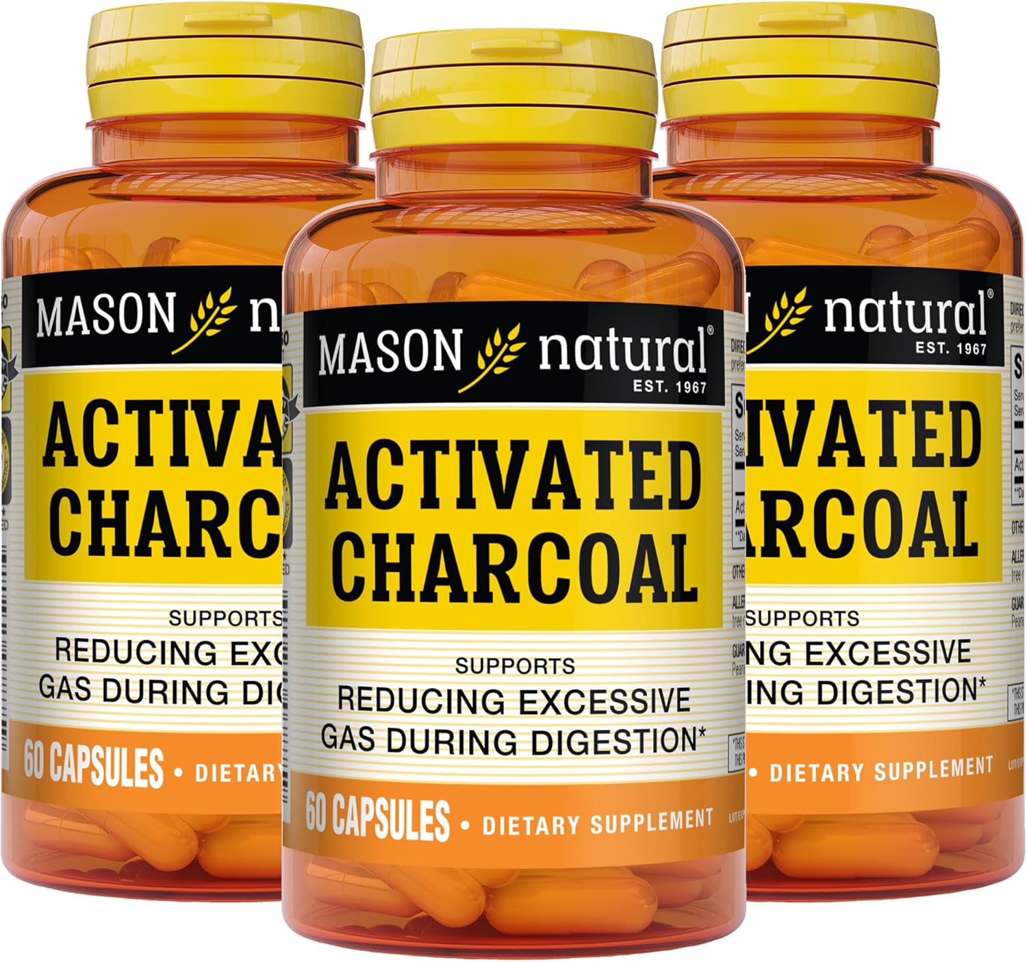 MASON NATURAL Activated Charcoal Capsules - Relieves Gas & Bloating, Supports Detox, Highly Absorbent, 180 Capsules