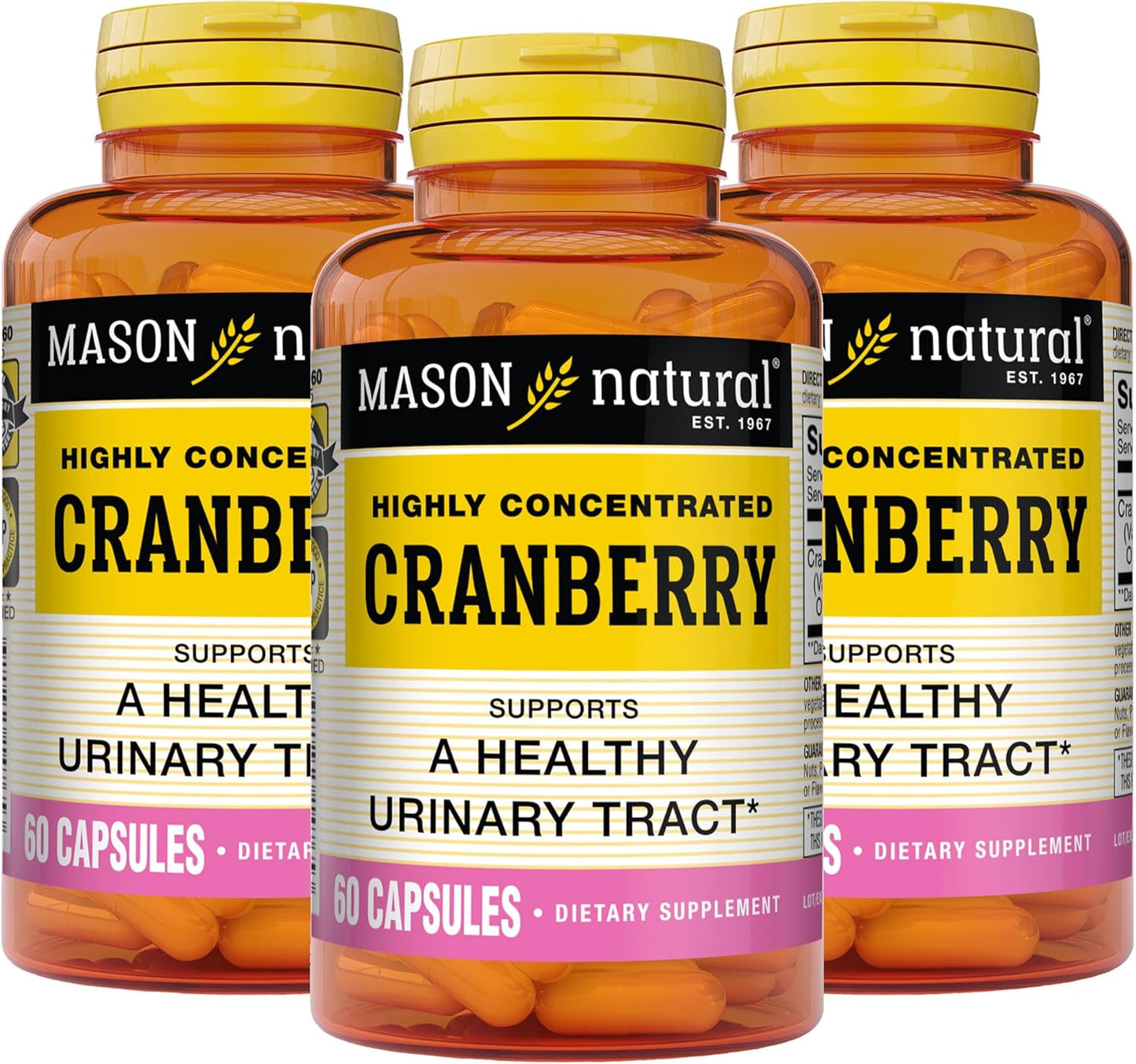 MASON NATURAL Cranberry 900mg Highly Concentrated Capsules - 3 Month Supply for Urinary Tract Health - Antioxidant Support - Pack of 3