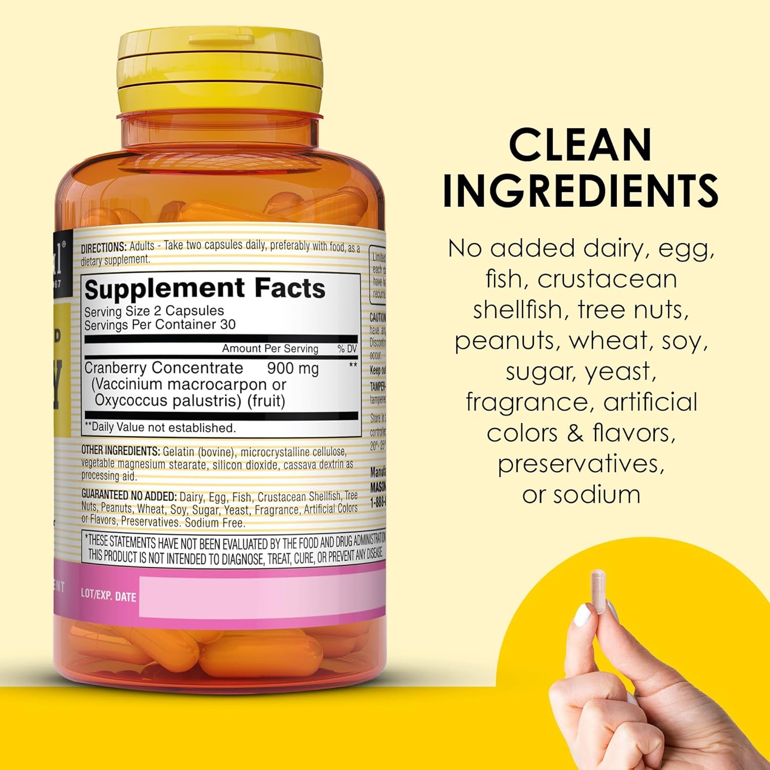 MASON NATURAL Cranberry Extract 900 mg - Antioxidant & Immune Support - Healthy Urinary Tract - 30 Day Supply