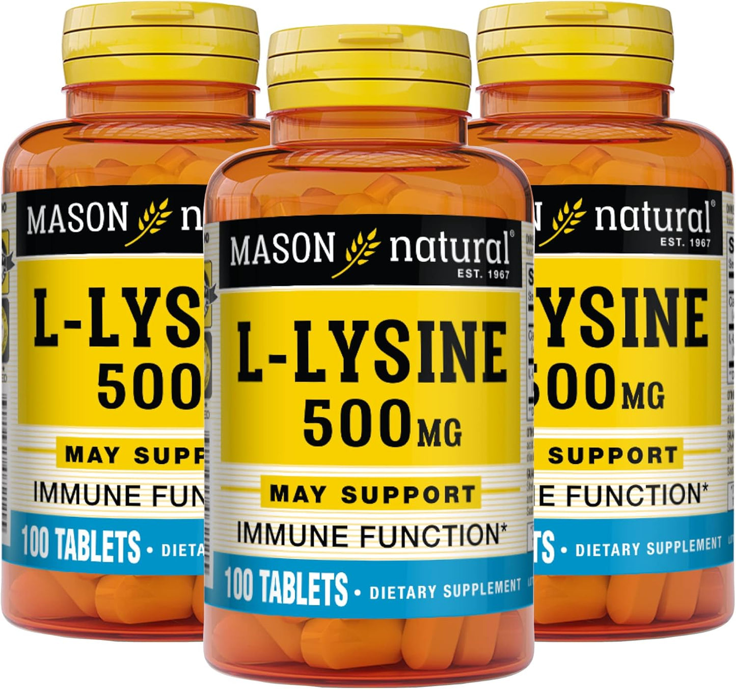 Mason Natural L-Lysine 500 mg with Calcium - Boost Immunity, Improve Nutrient Uptake - 100 Tablets (Pack of 3)