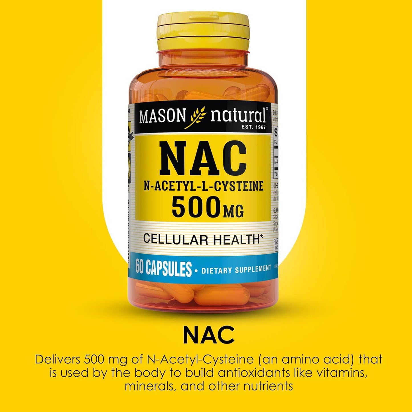Mason Natural NAC N-Acetyl-L-Cysteine 500mg - 2 Month Supply - Cellular Health Support - Immune System Booster - 60 Capsules