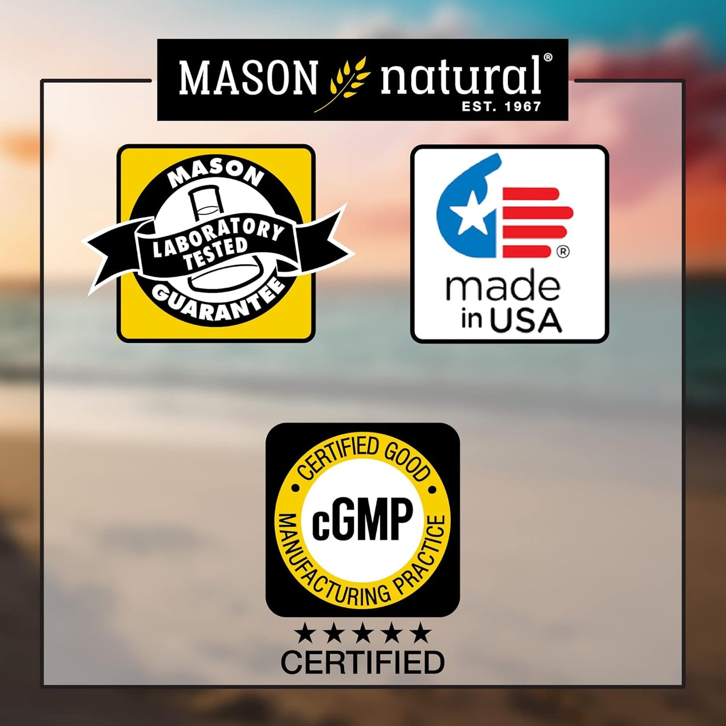 MASON NATURAL Prostate Health Supplement with Saw Palmetto, Nettle Root & Pumpkin Seed Oil - Promotes Prostate Function*, 60 Softgels