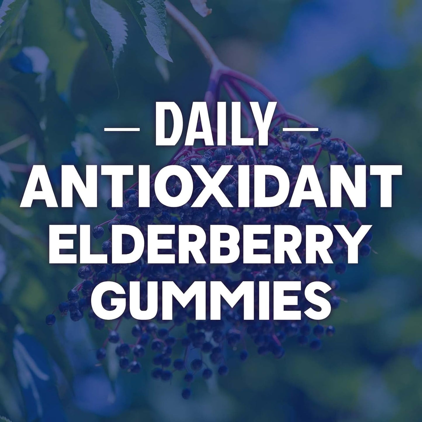 Max Potency Elderberry Gummies with Zinc & Vitamin C for Immune Support - Vegan Supplement for Adults & Kids - 120 Gummies