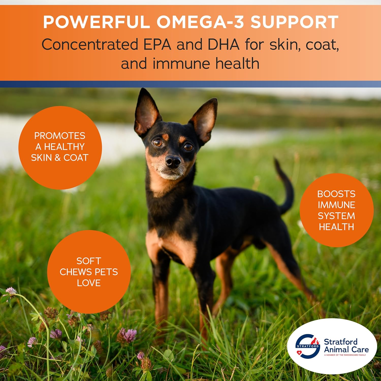 Max Strength Omega 3 Fatty Acid Soft Chews for Small & Medium Dogs - Fish Oil Dog Supplement - 60 Soft Chews by Stratford Pharmaceuticals