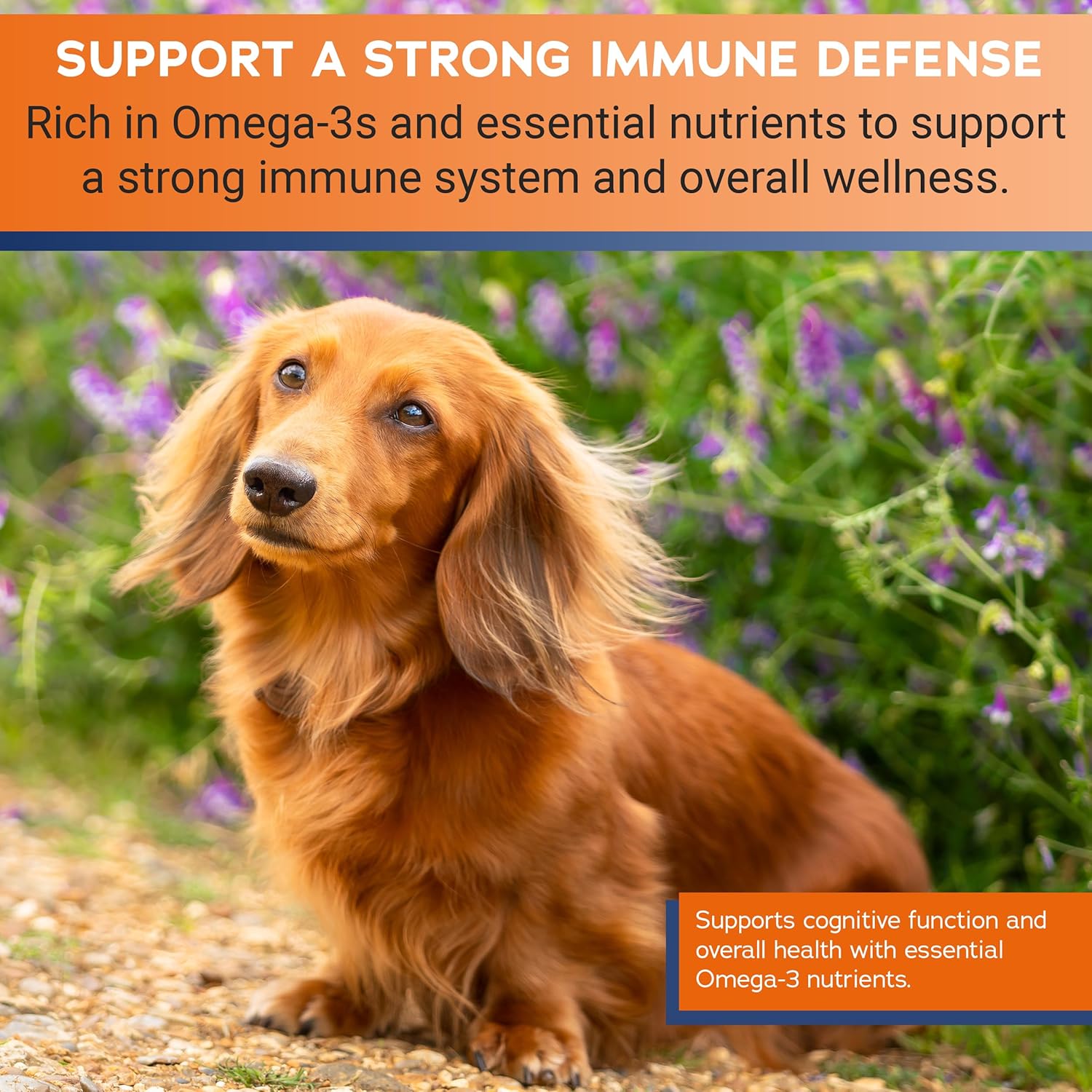 Max Strength Omega 3 Fatty Acid Soft Chews for Small & Medium Dogs - Fish Oil Dog Supplement - 60 Soft Chews by Stratford Pharmaceuticals