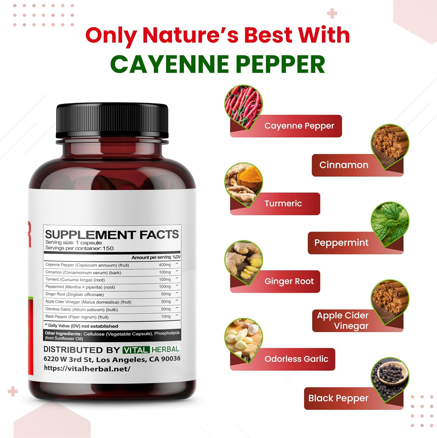 Maximum Potency Liposomal Cayenne Pepper with Cinnamon Peppermint - Supports Digestion & Metabolism - Made in USA