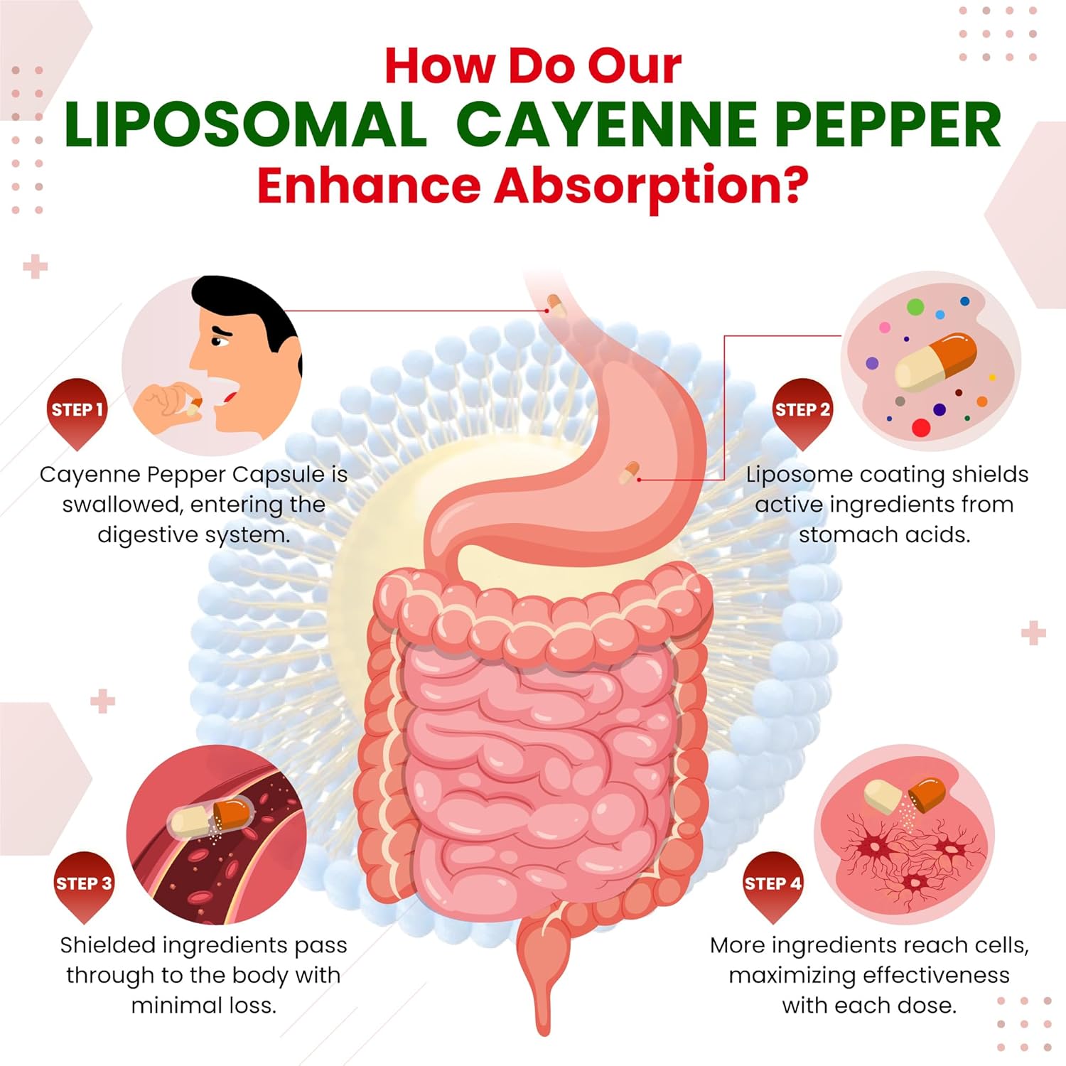 Maximum Potency Liposomal Cayenne Pepper with Cinnamon Peppermint - Supports Digestion & Metabolism - Made in USA