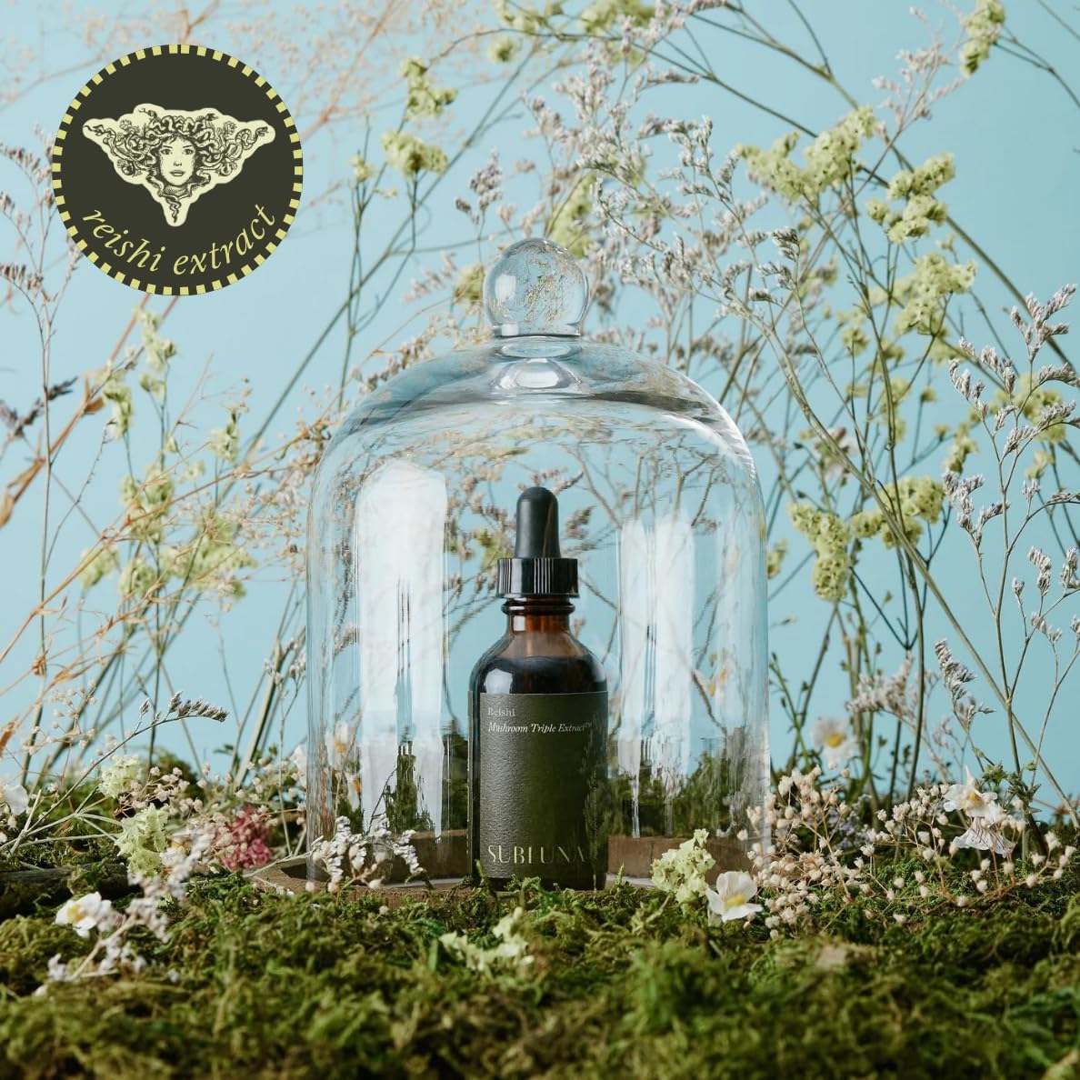 Maximum Potency SUBLUNA Reishi Triple Extract Tincture for Immune Support, Stress Relief, and Mood Balance - Powerful Adaptogen Liquid Drops