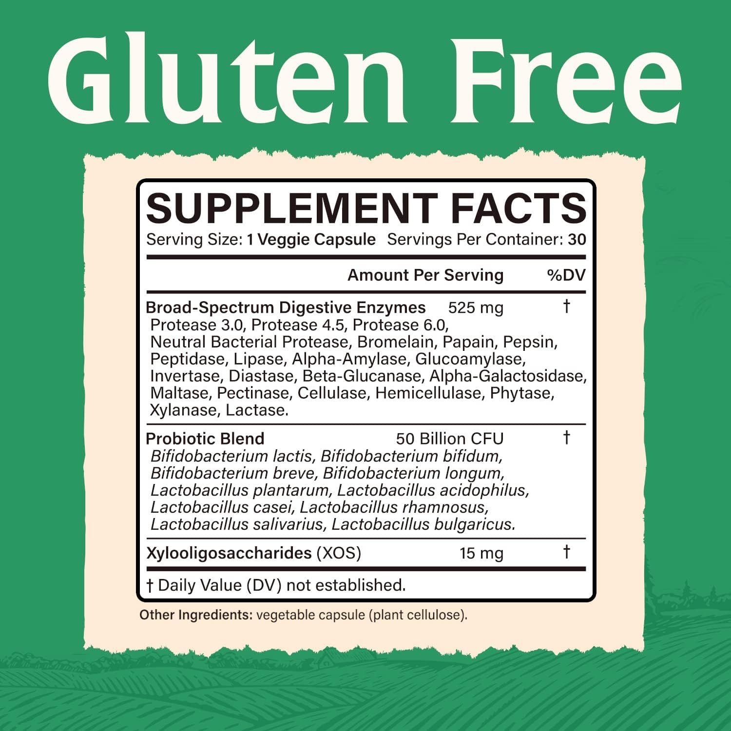 Maximum Strength Digestive Enzymes with Probiotics & Prebiotics, 22 Enzymes for Healthy Digestion, Vegan, Non-GMO - 30 Capsules