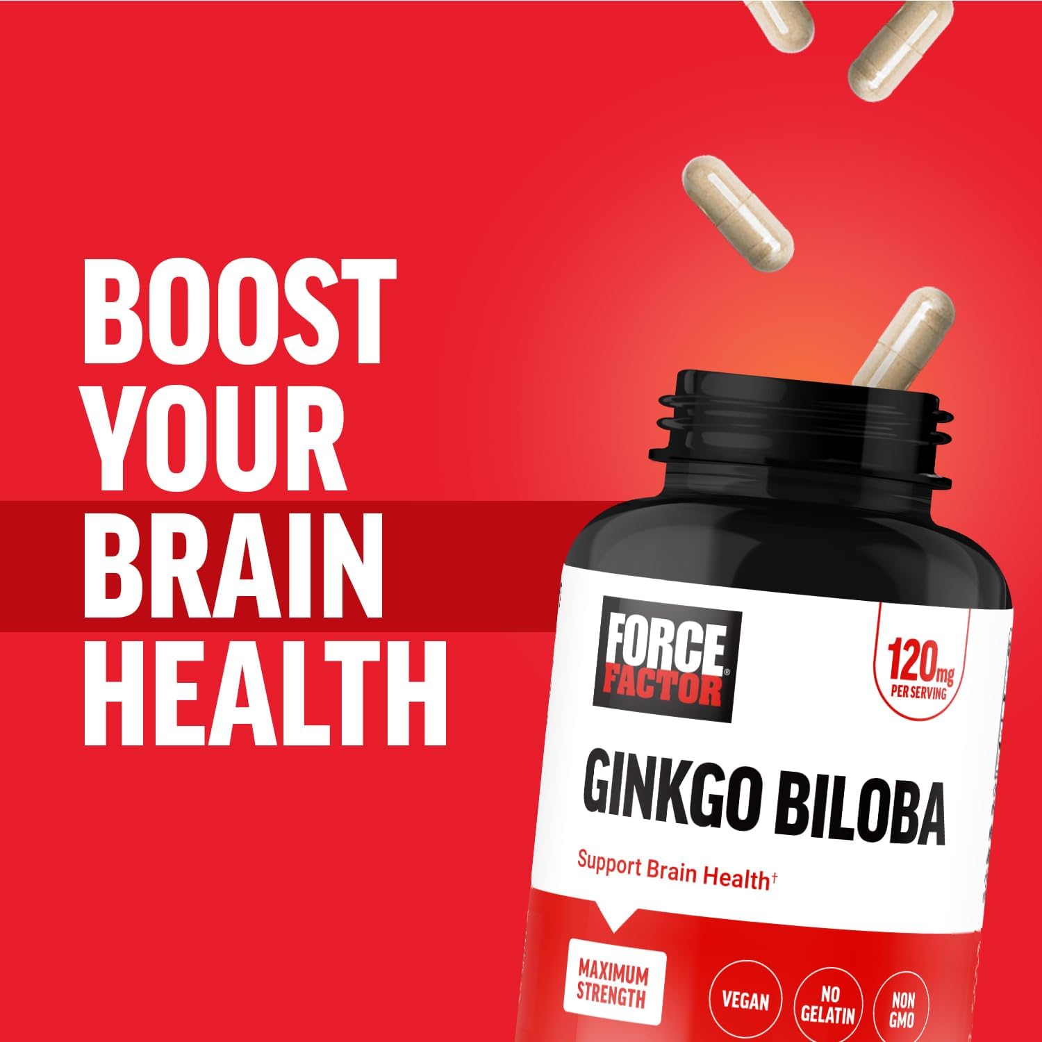 Maximum Strength Ginkgo Biloba Supplement for Brain Health - 120mg Capsules for Cognitive Support - Vegan & Non-GMO - 120 Count