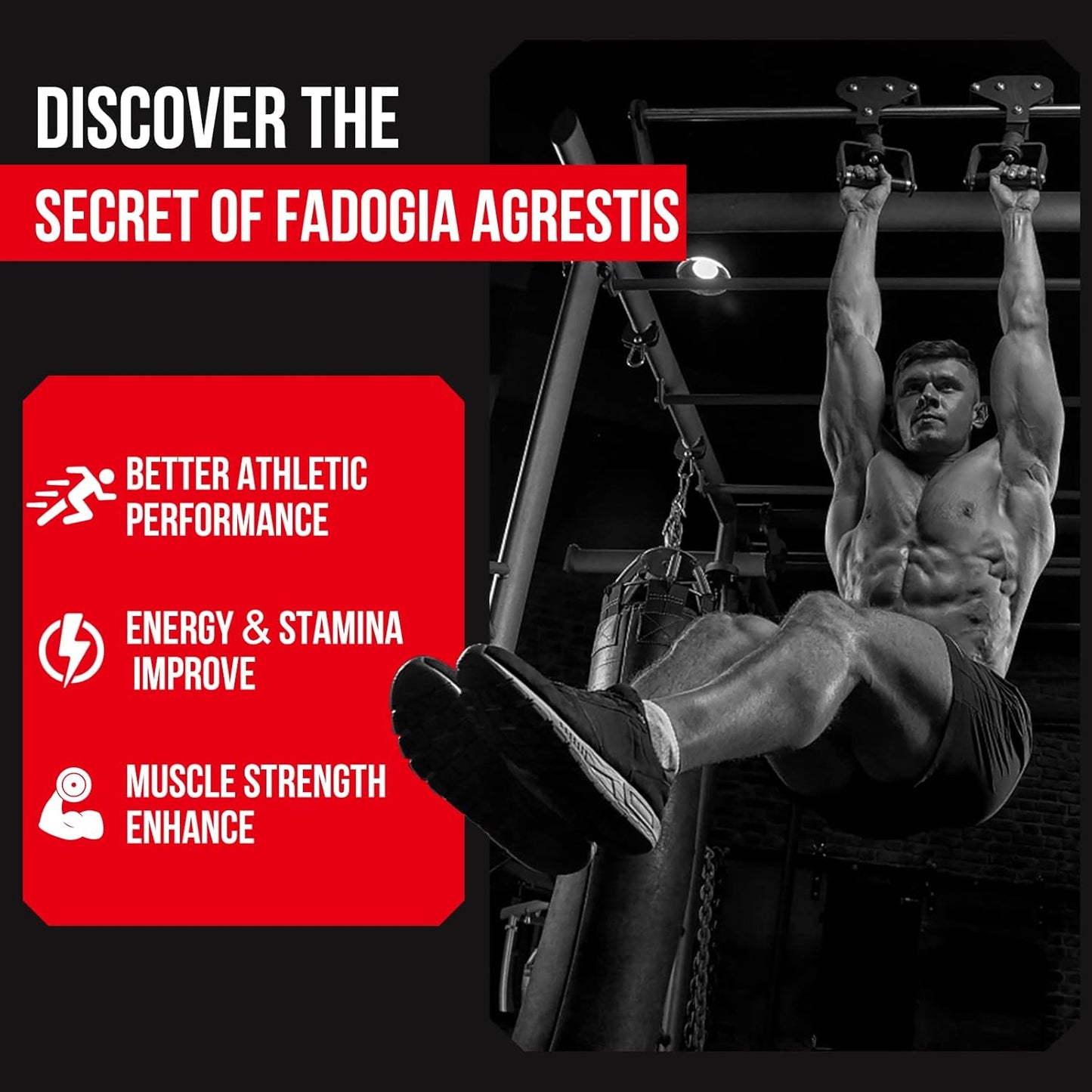Maximum Strength Thalacy 1600mg Fadogia Agrestis & Tongkat Ali Supplement for Men - 60 Softgels with Ashwagandha Extract