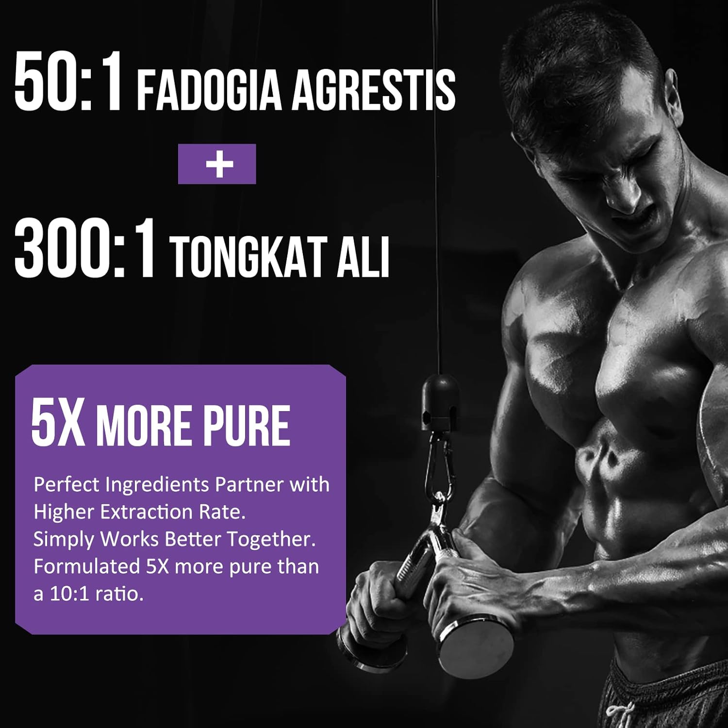 Maximum Strength Thalacy 2400mg Fadogia Agrestis & Tongkat Ali Supplement for Muscle Mass & Athletic Performance - 240 Softgels