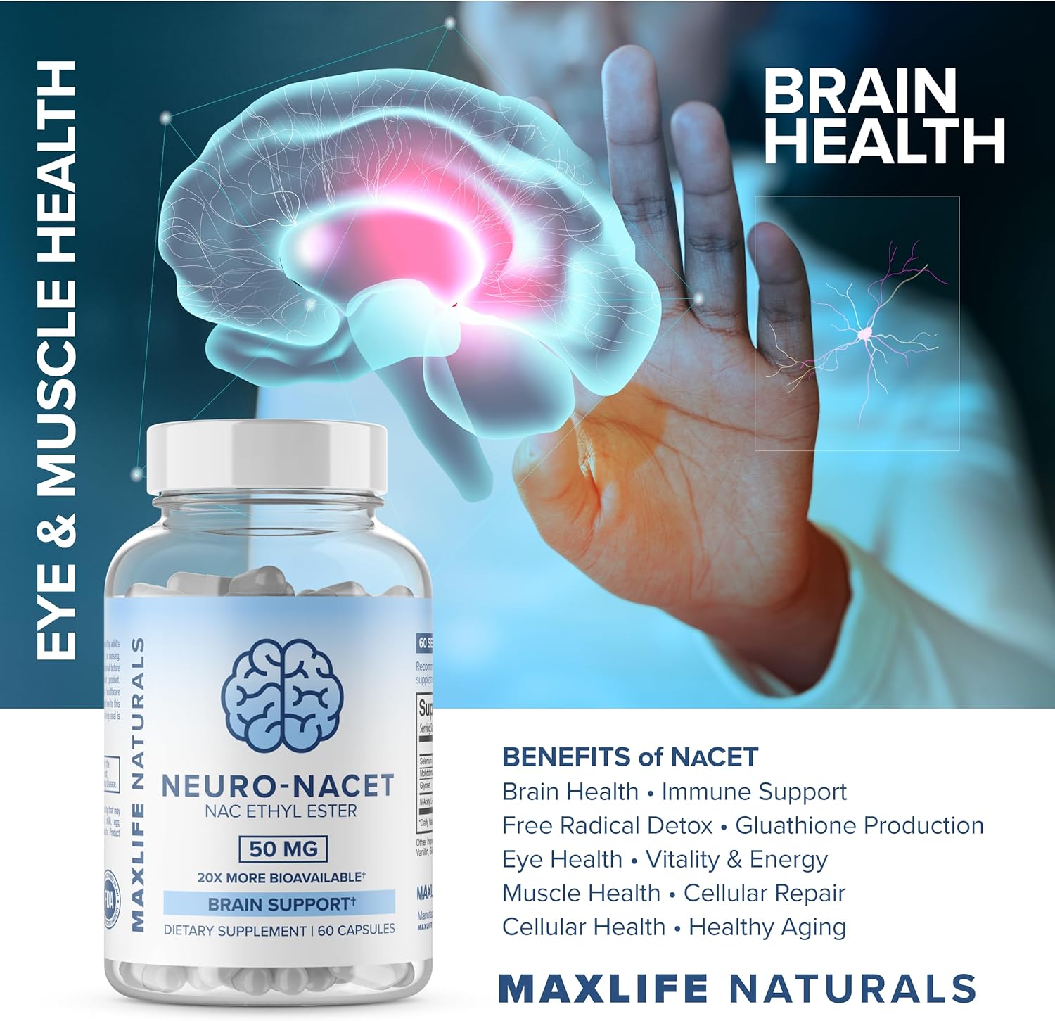 MAXLIFE NATURALS Neuro NACET - Enhanced N-Acetyl Cysteine Ester - Boosts Glutathione Levels - Brain Support with Glycine & Selenium