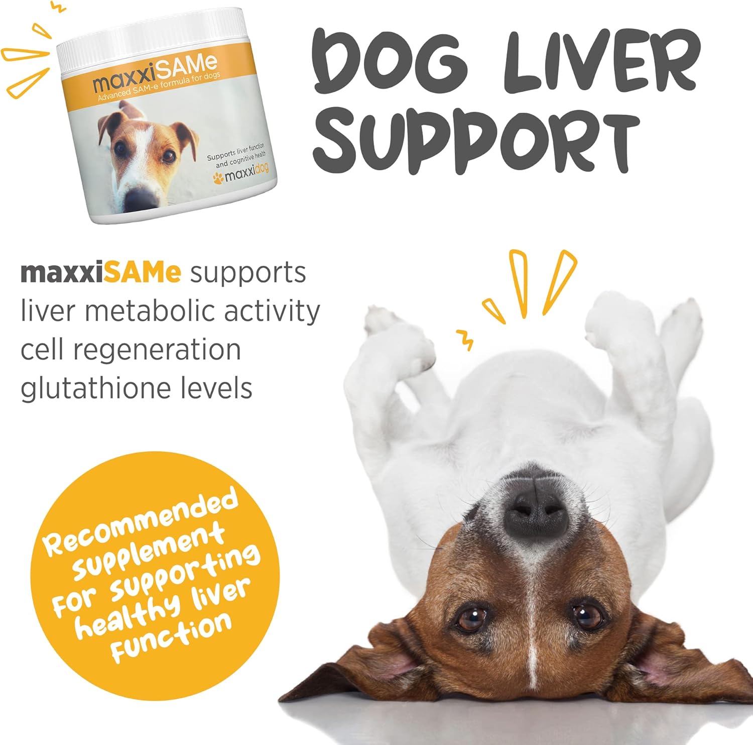 maxxipaws SAM-e Powder Supplement for Dogs - Liver, Cognitive & Joint Support - 5.3oz