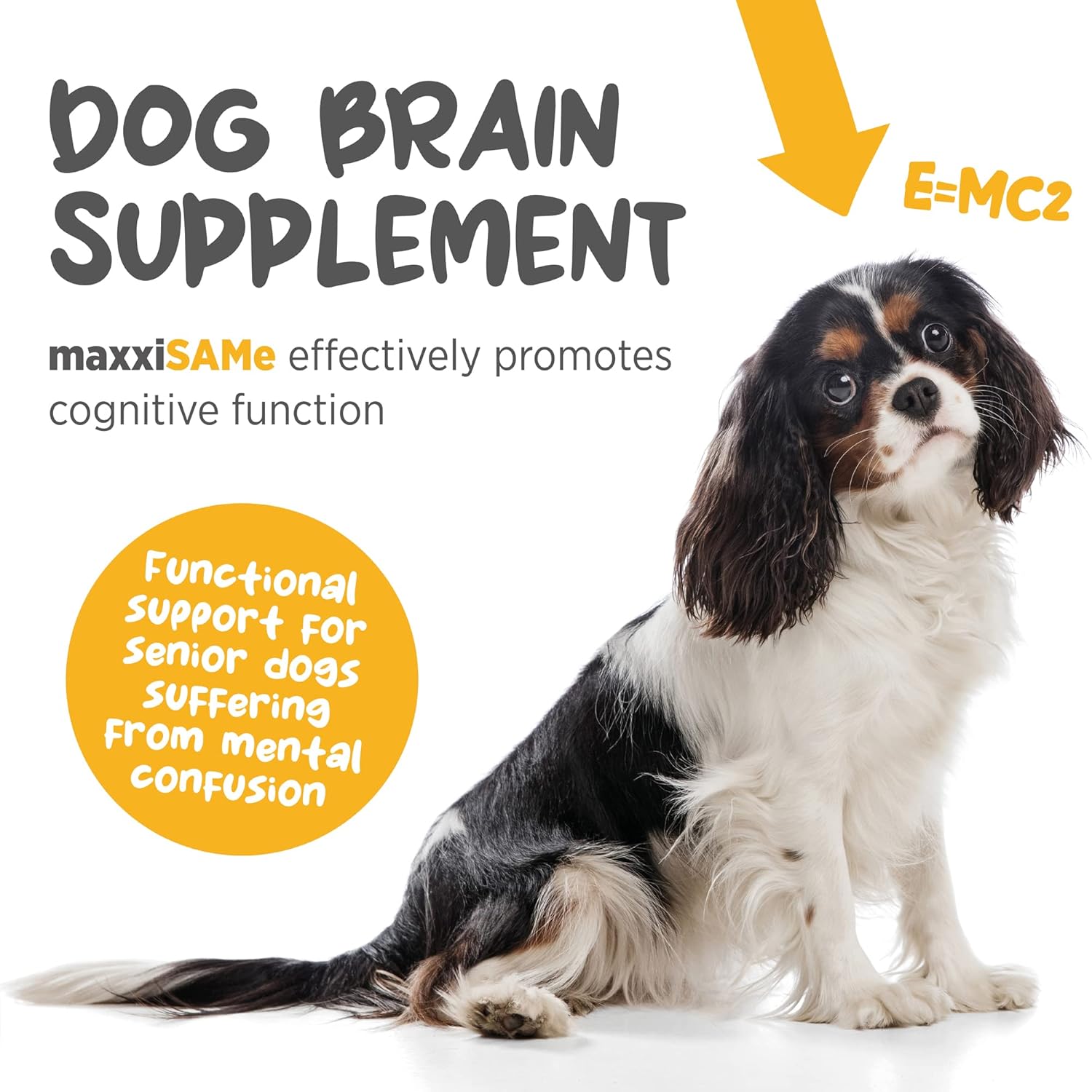 maxxipaws SAM-e Powder Supplement for Dogs - Liver, Cognitive & Joint Support - 5.3oz