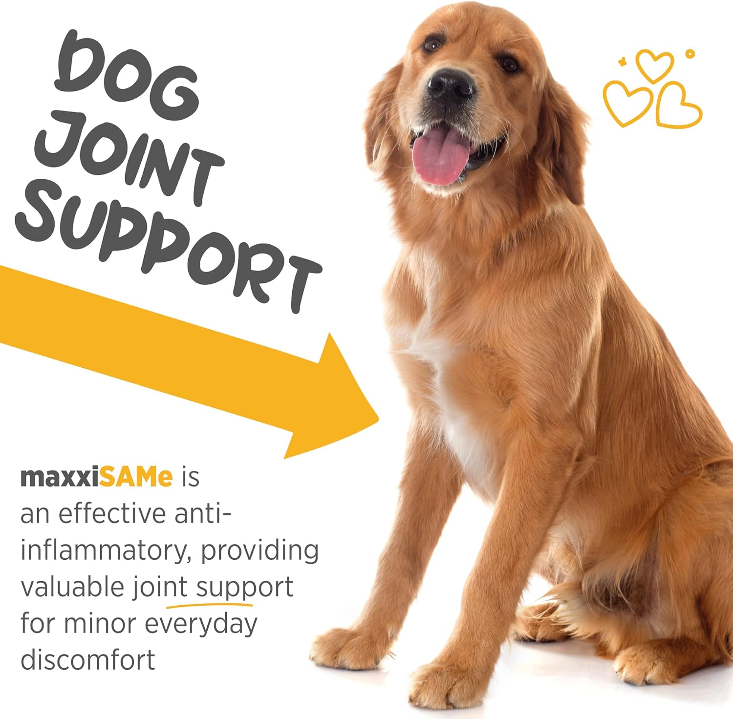 maxxipaws SAM-e Powder Supplement for Dogs - Liver, Cognitive & Joint Support - 5.3oz