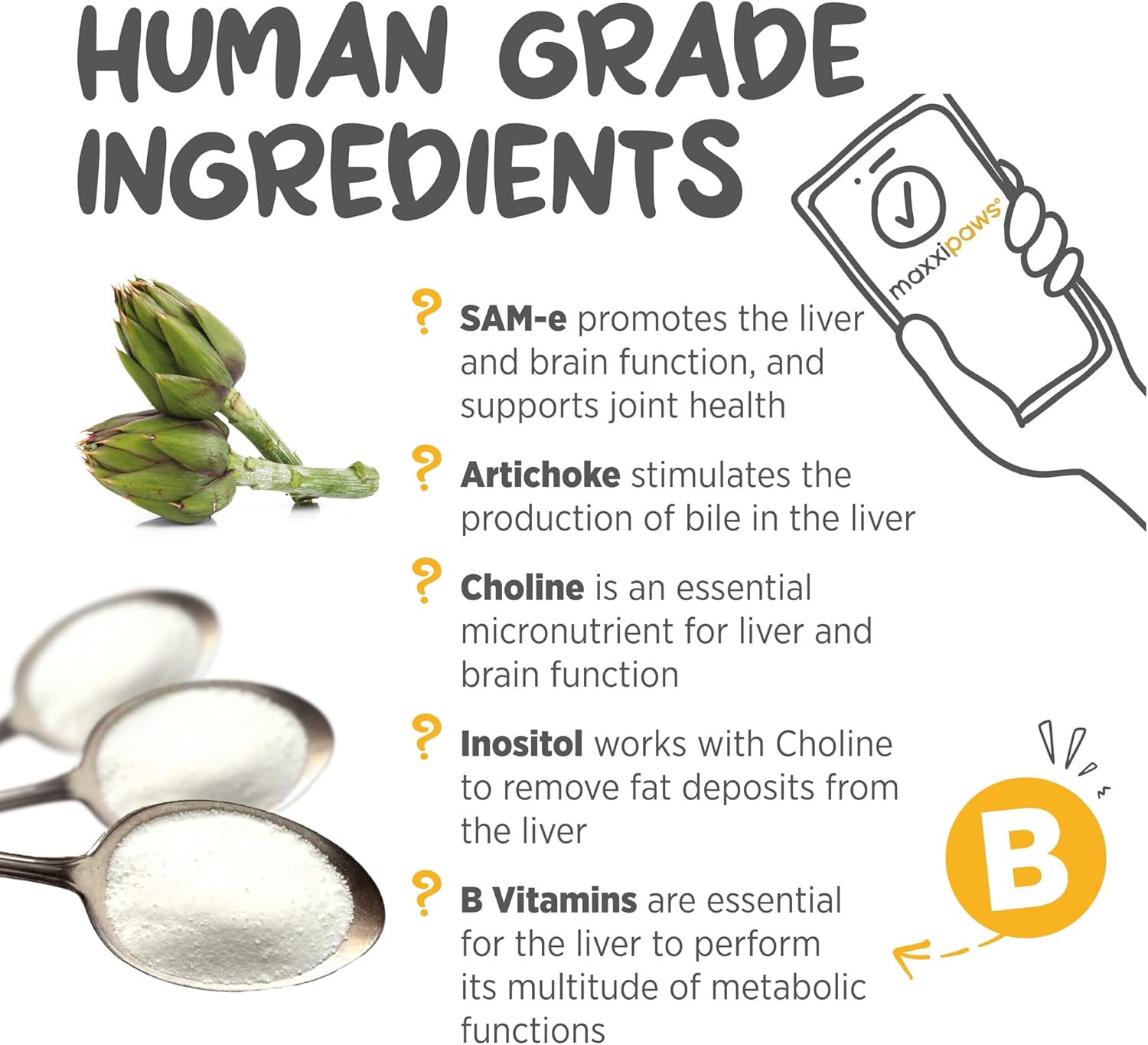 maxxipaws SAM-e Powder Supplement for Dogs - Liver, Cognitive & Joint Support - 5.3oz