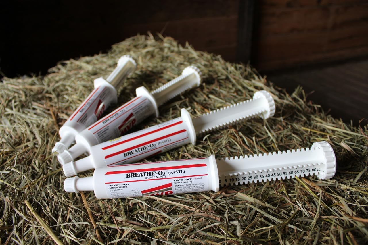 Med-Vet Pharmaceuticals Breathe O'2 4-Pack - Pre-Race Paste for Lung Support in Horses