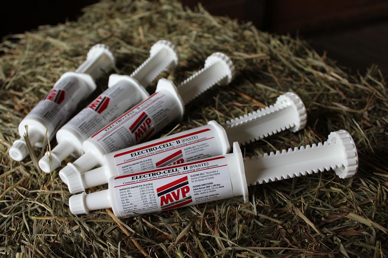 Med-Vet Pharmaceuticals Electro-Cell II Electrolyte Paste 5-Pack for Horses - 10 Doses
