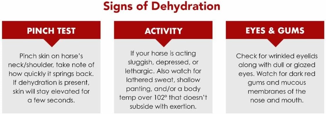 Med-Vet Pharmaceuticals Electro-Cell II Electrolyte Paste 5-Pack for Horses - 10 Doses