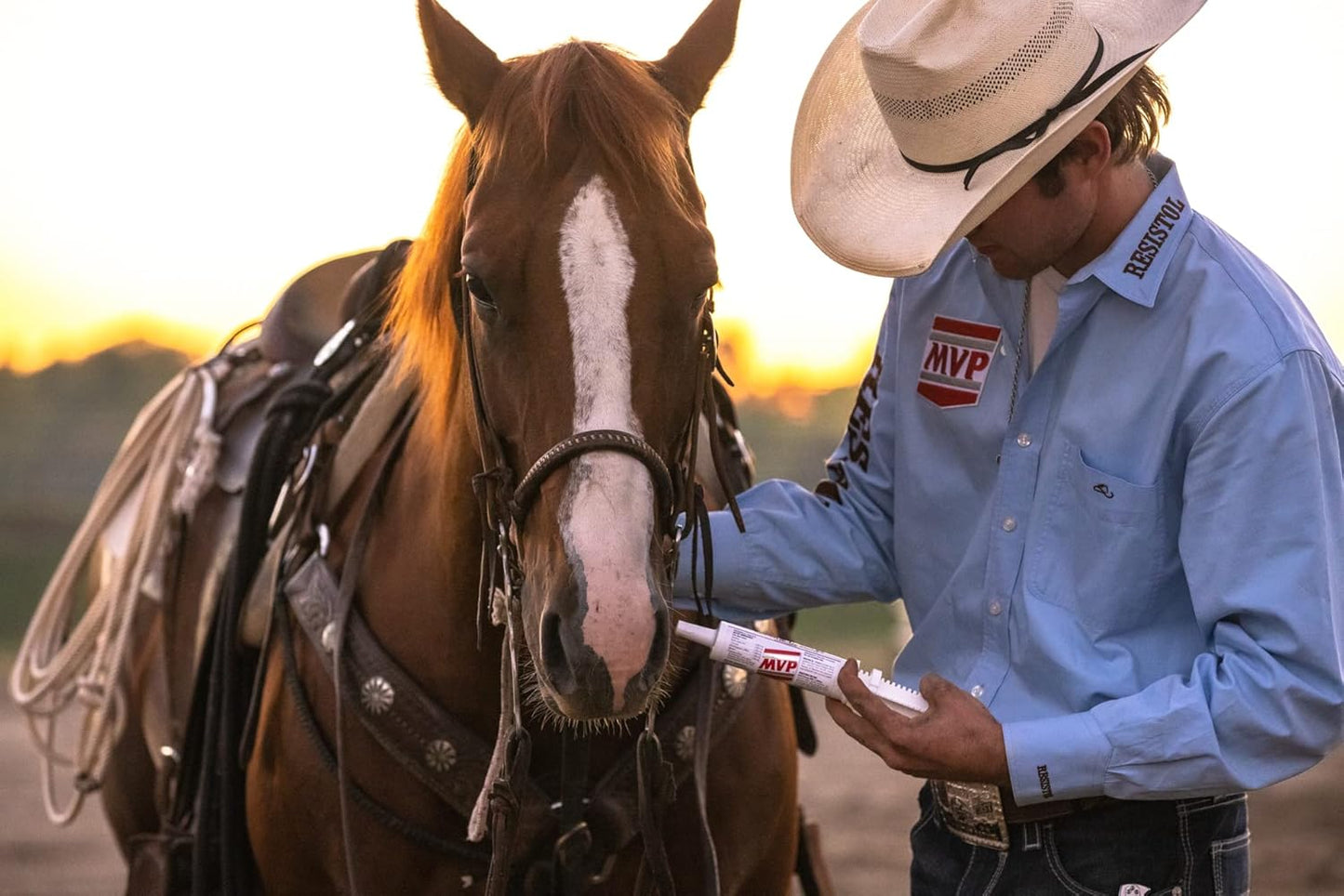 Med-Vet Pharmaceuticals Electro-Cell II Electrolyte Paste 5-Pack for Horses - 10 Doses