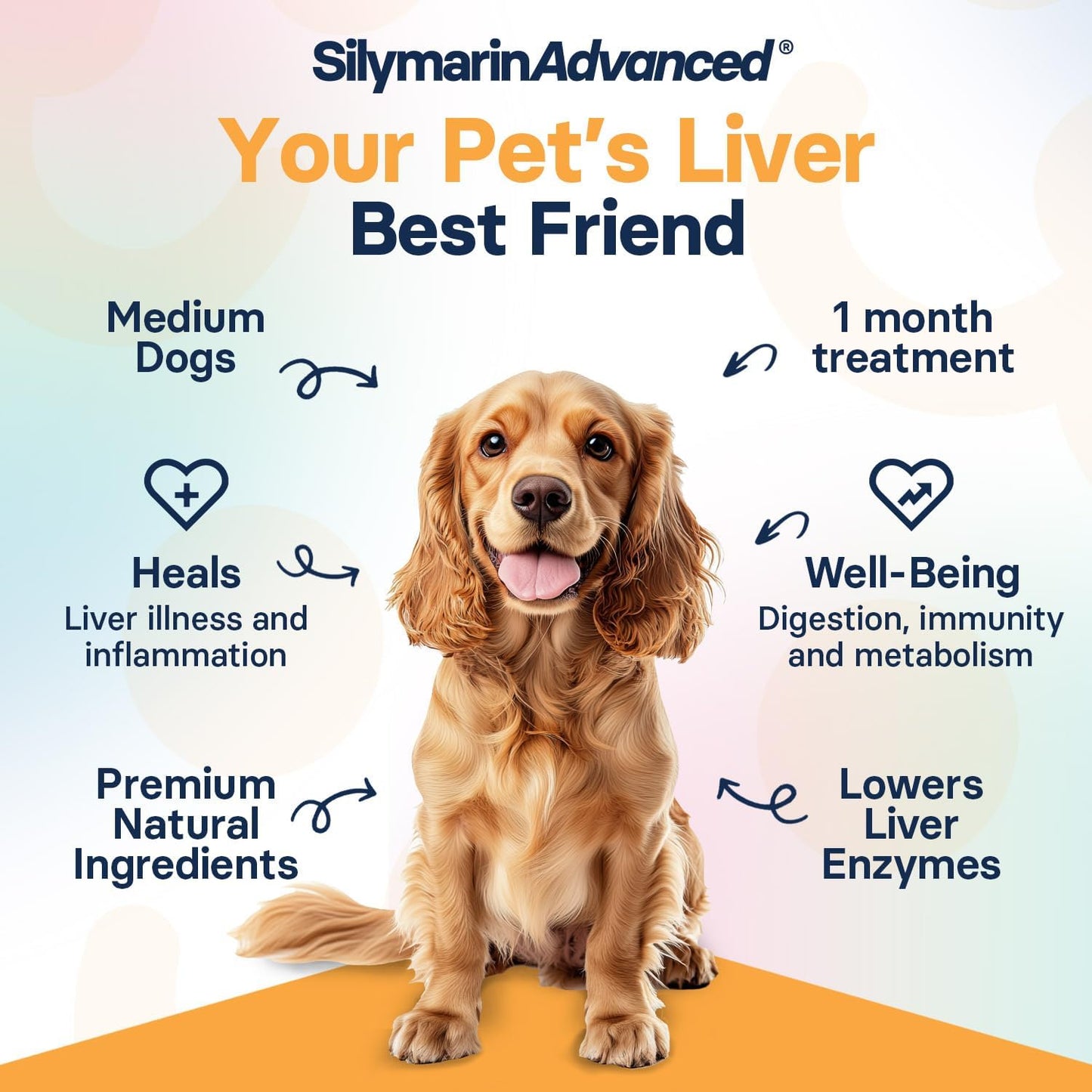 Medium Dog Liver Health Supplement with Silymarin, S-Adenosylmethionine, and Silybin - 30 Tablets