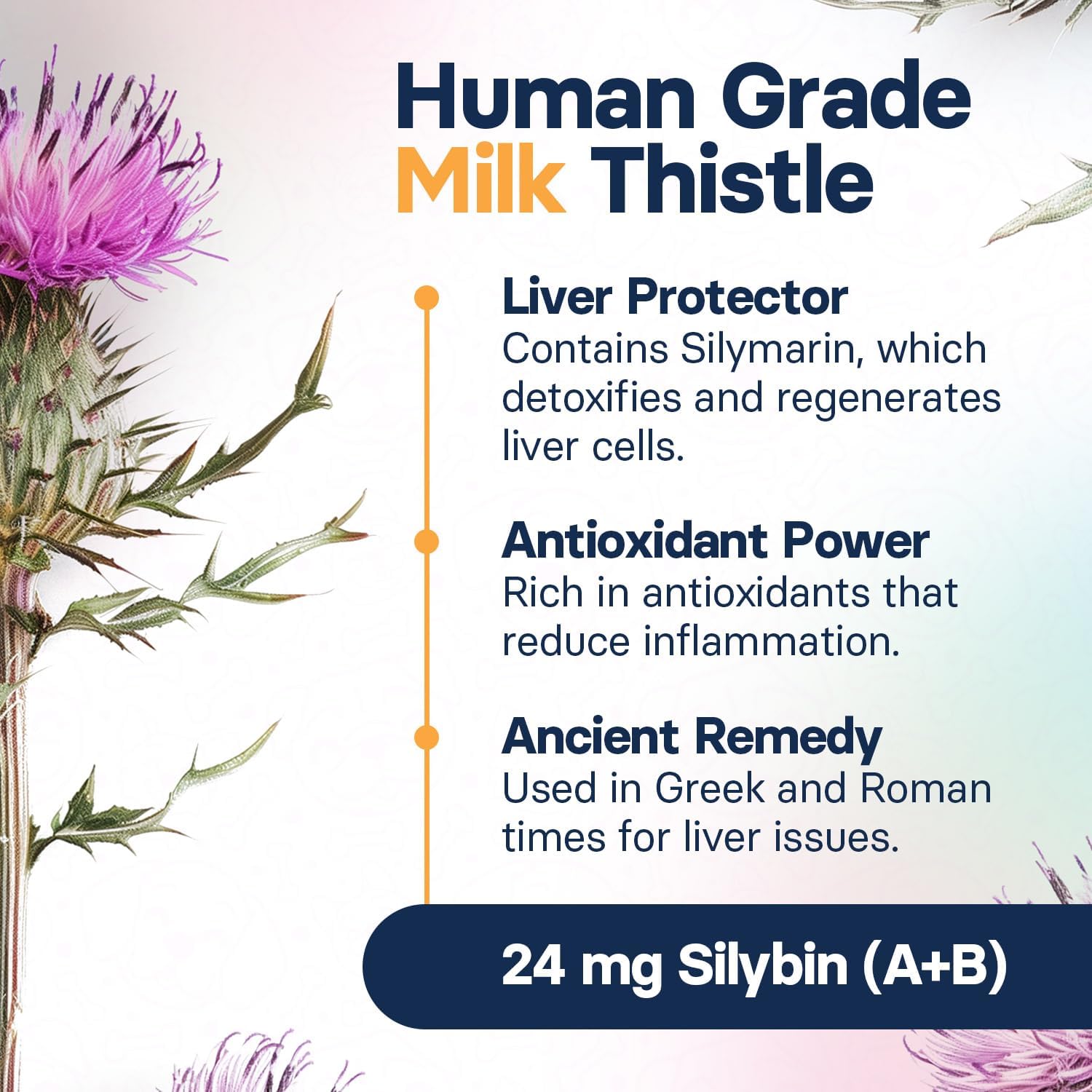 Medium Dog Liver Health Supplement with Silymarin, S-Adenosylmethionine, and Silybin - 30 Tablets