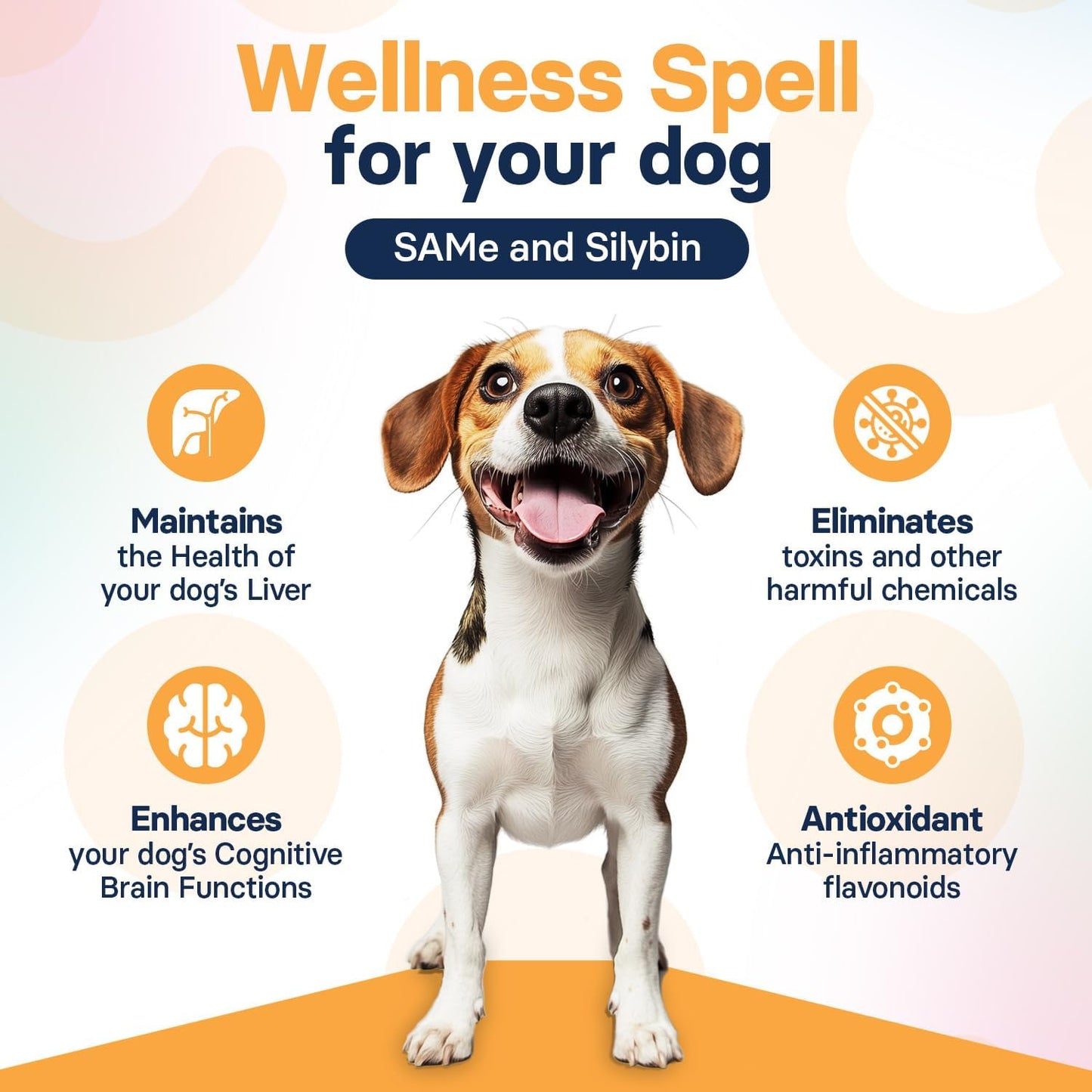 Medium Dog Liver Health Supplement with Silymarin, S-Adenosylmethionine, and Silybin - 30 Tablets