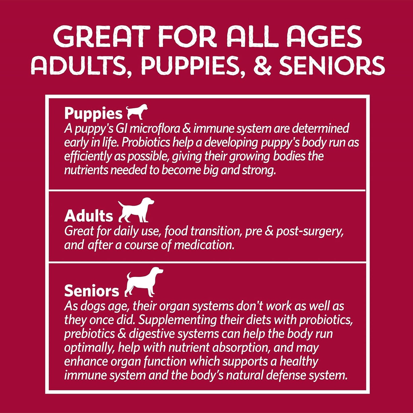 Medium Mutts Gut Health Probiotic for Dogs - 6 Billion CFUs, 11 Strains, 5 Enzymes, 2 Prebiotics - Adult & Puppy Supplement (30 Days)