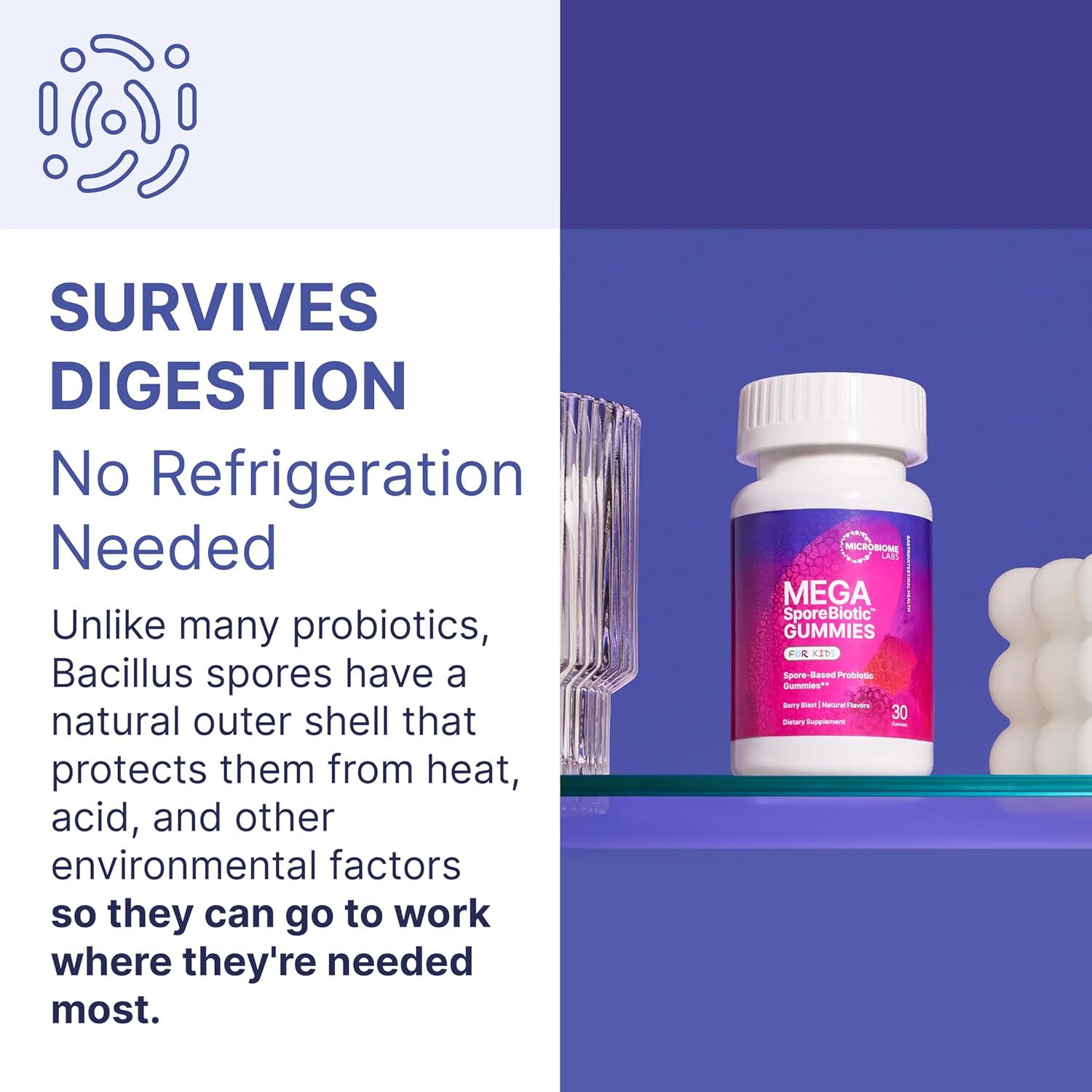 MegaSporeBiotic Kids Probiotic Gummies - Bacillus Blend - Berry Flavored - 30 Gummies - Supports Gut Health & Immunity