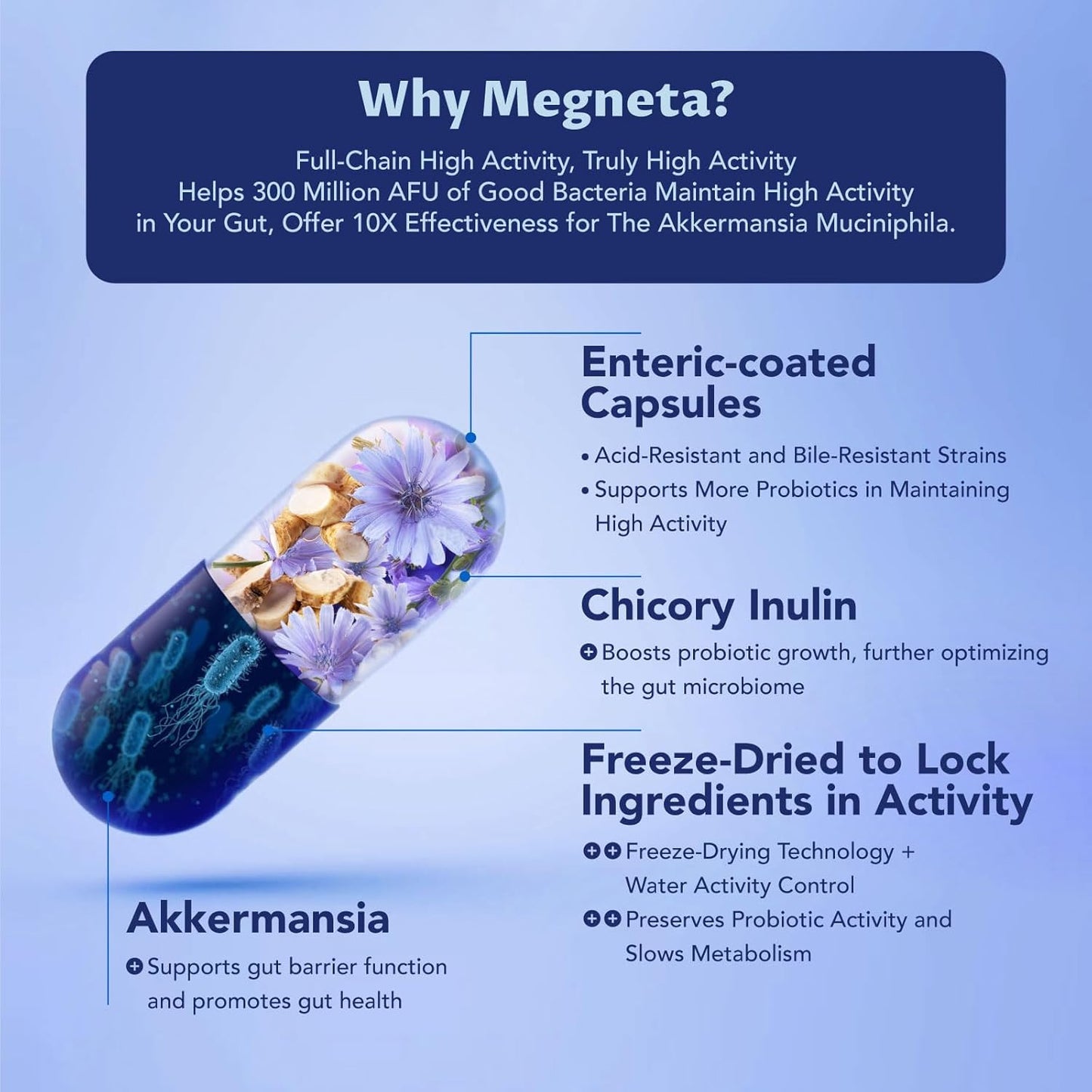 MEGNETA Akkermansia Probiotic with Inulin Prebiotic Fiber - Gut Health Supplements for Men & Women, 300M AFU, Boosts GLP-1 - 60 Capsules