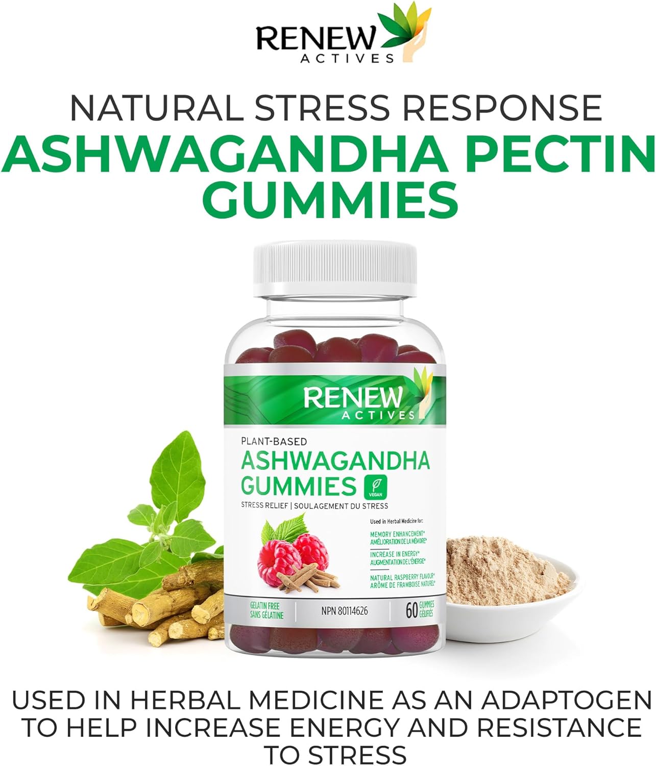 Memory and Energy Boost Ashwagandha Gummies - Rejuvenative Tonic for Health - 60 Gummies