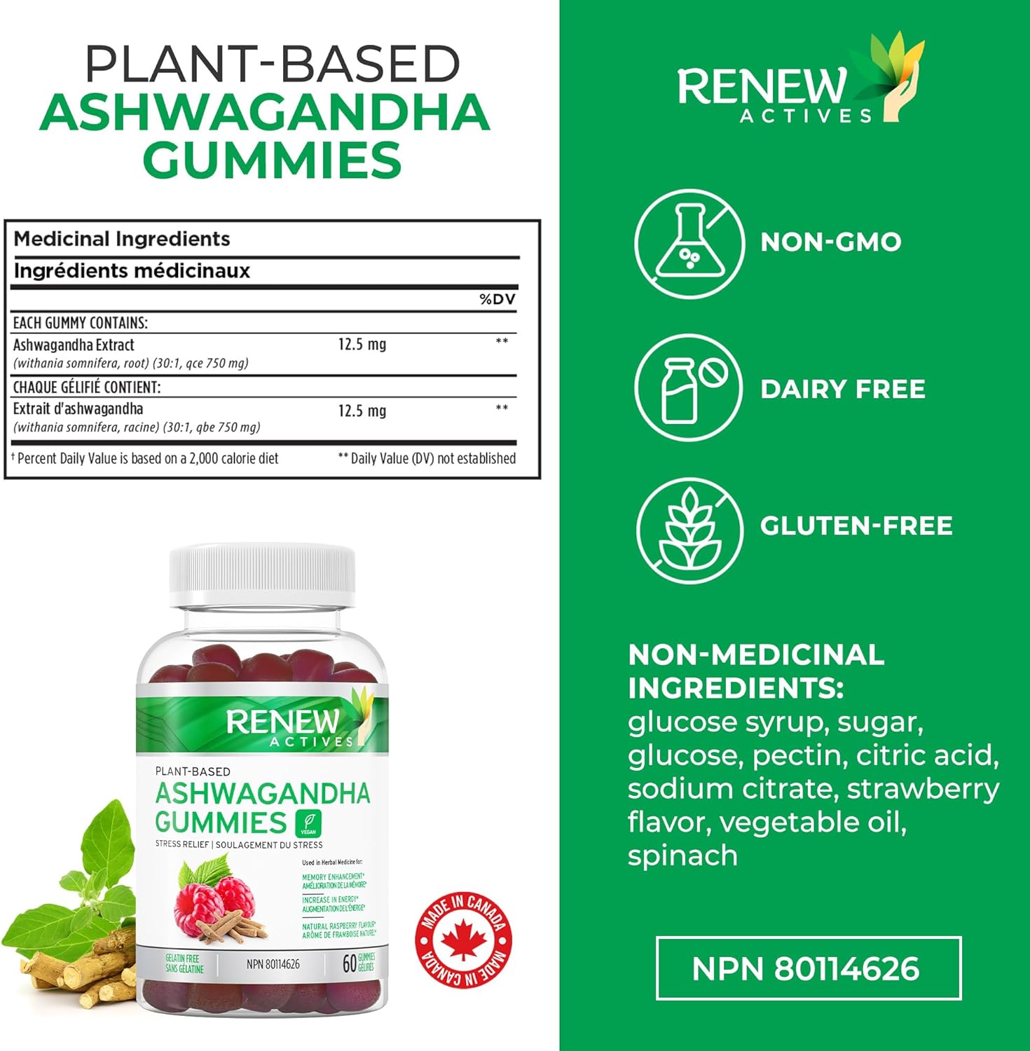 Memory and Energy Boost Ashwagandha Gummies - Rejuvenative Tonic for Health - 60 Gummies