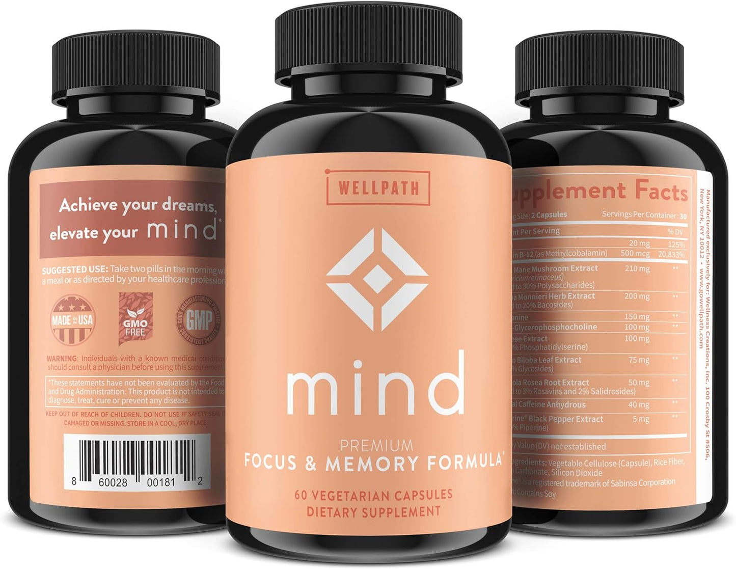 Memory and Focus Brain Supplement with Lion's Mane, Ginkgo Biloba, L-Theanine - Vegan, Non-GMO - 60 Ct