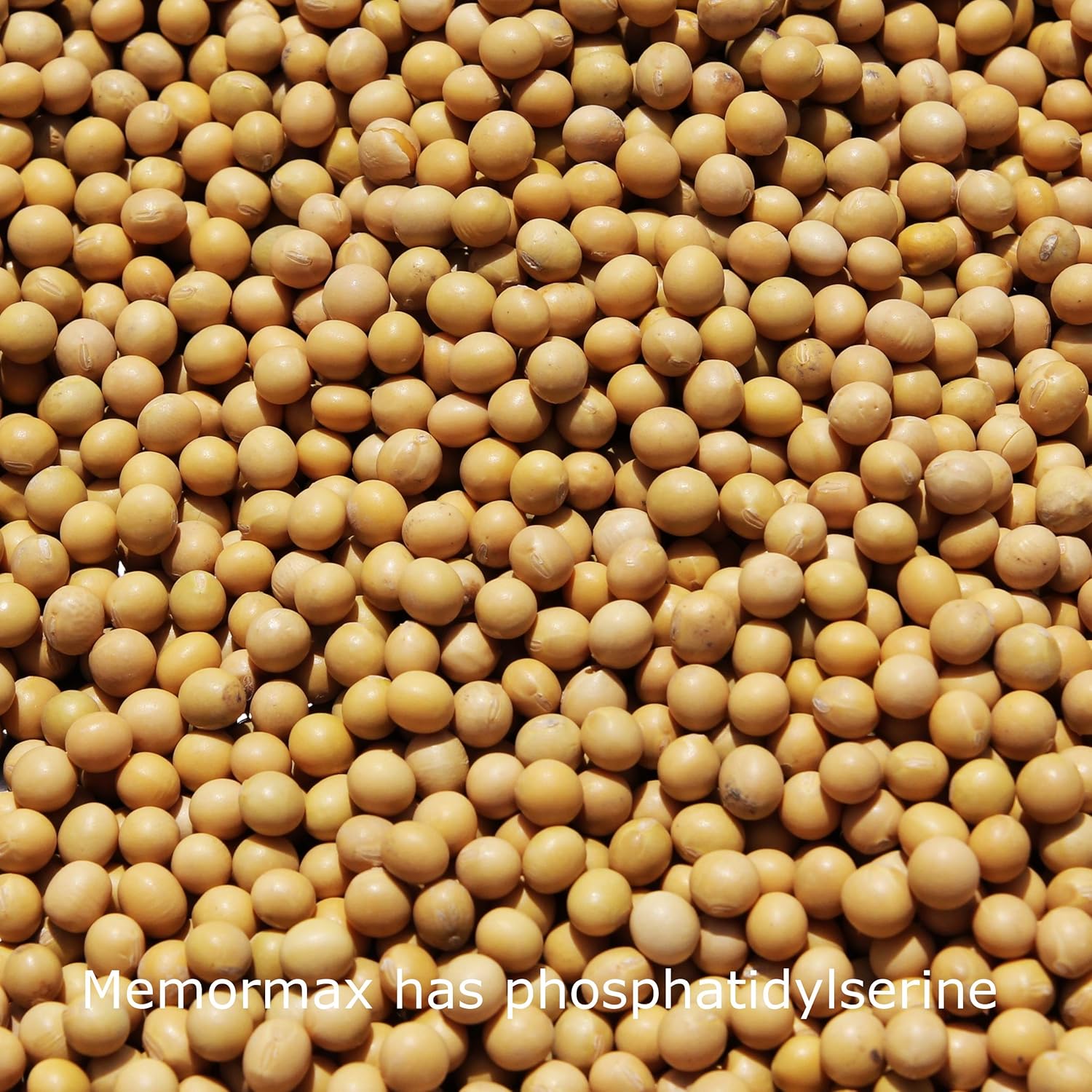 Memory, Focus & Clarity Brain Supplement with Ginkgo Biloba, Bacopa, Alpha GPC - 60 Capsules