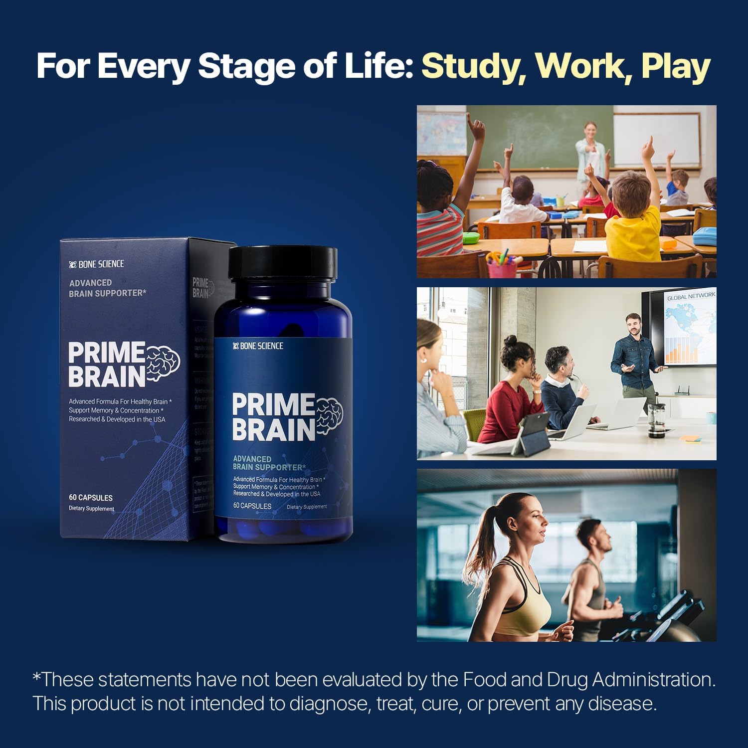 Memory & Focus Nootropic Supplement with Phosphatidylserine, Alpha GPC, L-Theanine & Ginkgo Biloba - 60 Capsules