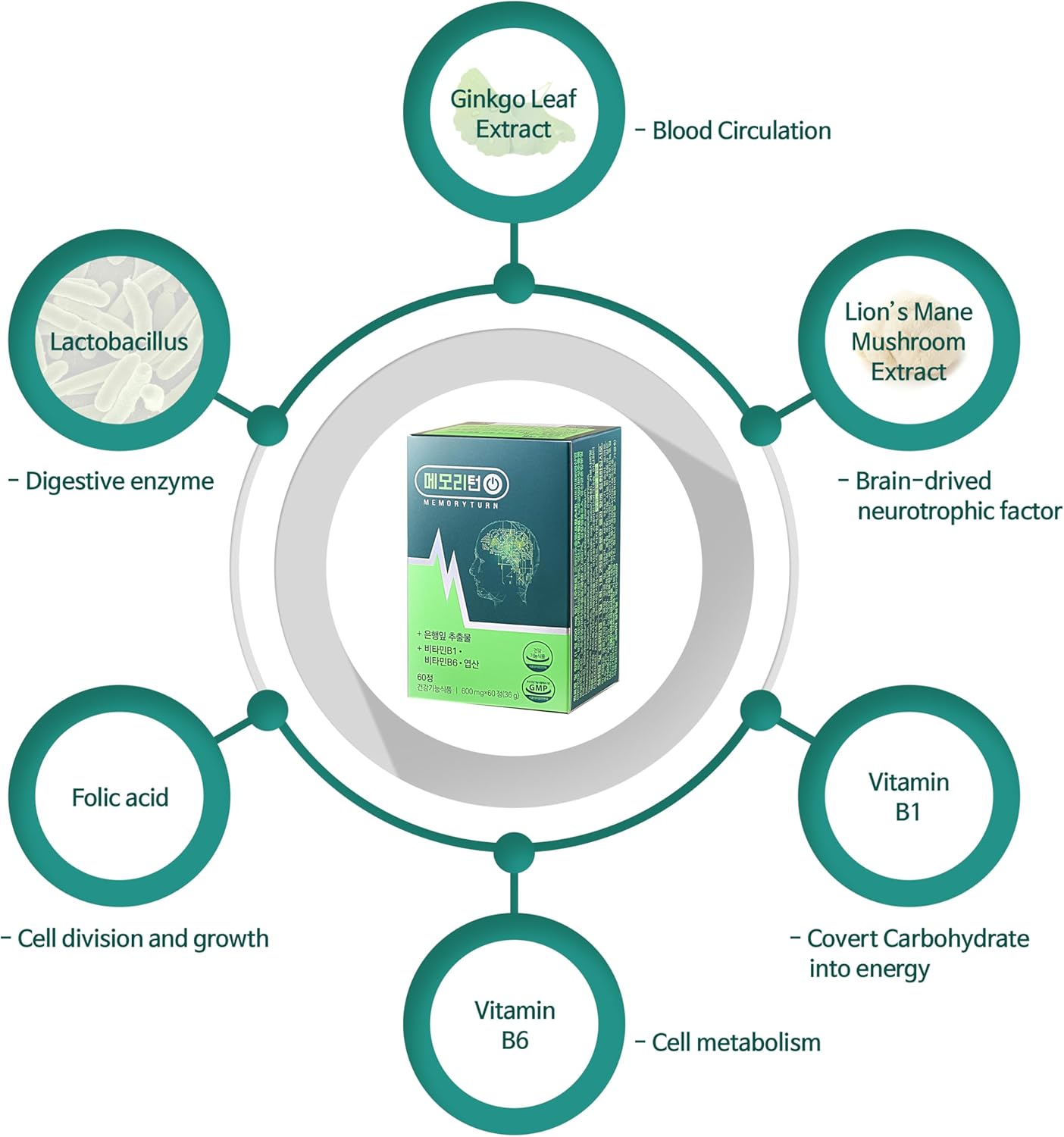 Memoryturn Brain Boost Supplement with Ginkgo Biloba & Lion’s Mane Extract - Enhance Memory, Cognitive Function, Circulation & Immune Support