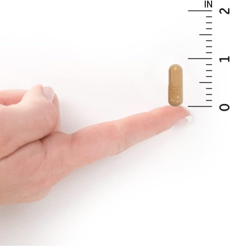 Men Over 50 Probiotic with Acidophilus and Bifidobacteria - Gluten Free, 90 Vegetarian Capsules