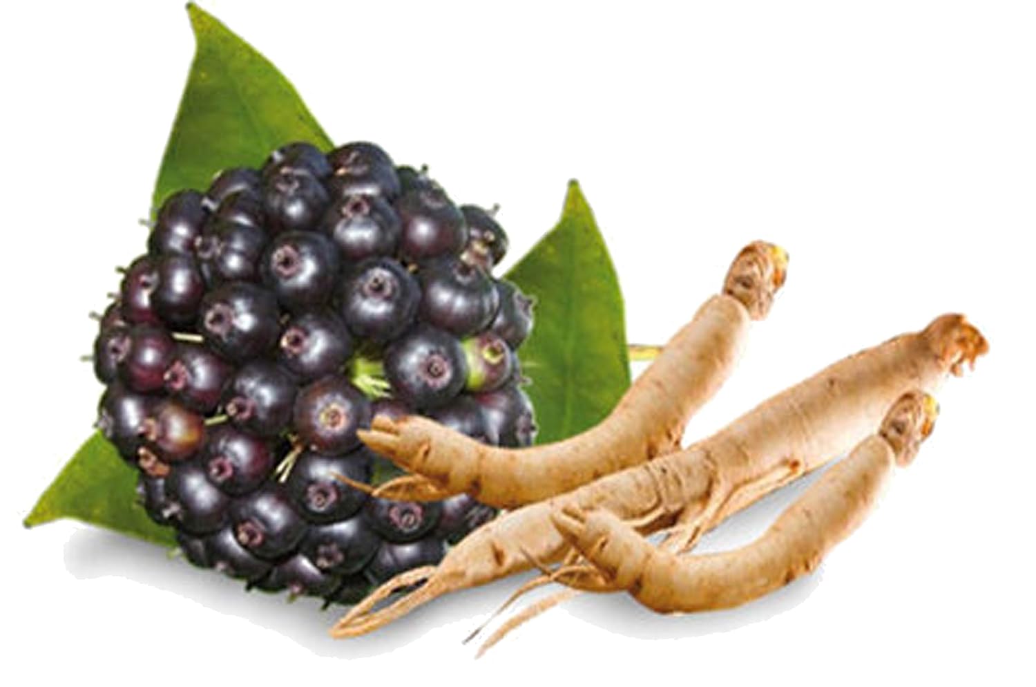 Menopause Herbal Tea for Hormonal Balance and Hot Flashes - Caffeine-Free Support for Women - 28 Day Supply