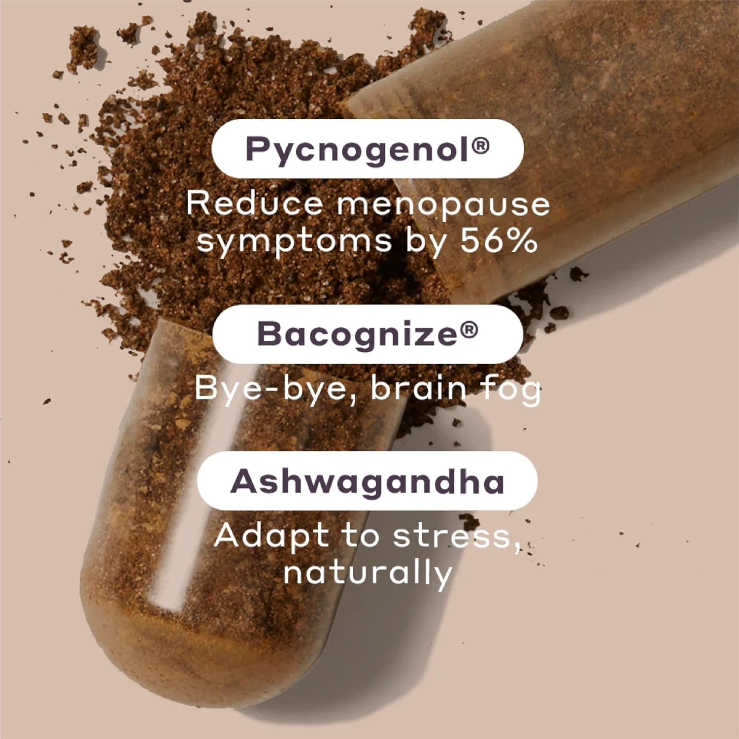 Menopause Relief Supplements for Women - Natural Support for Hot Flashes, Night Sweats, Vaginal Dryness, Brain Fog & Mood - Hormone & Estrogen-Free - 30 Capsules