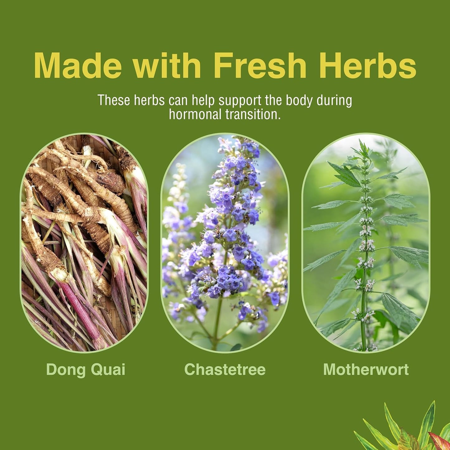 Menopautonic Softgels for Women - Hormonal Transition Support with Dong Quai & Motherwort - 120 Softgels